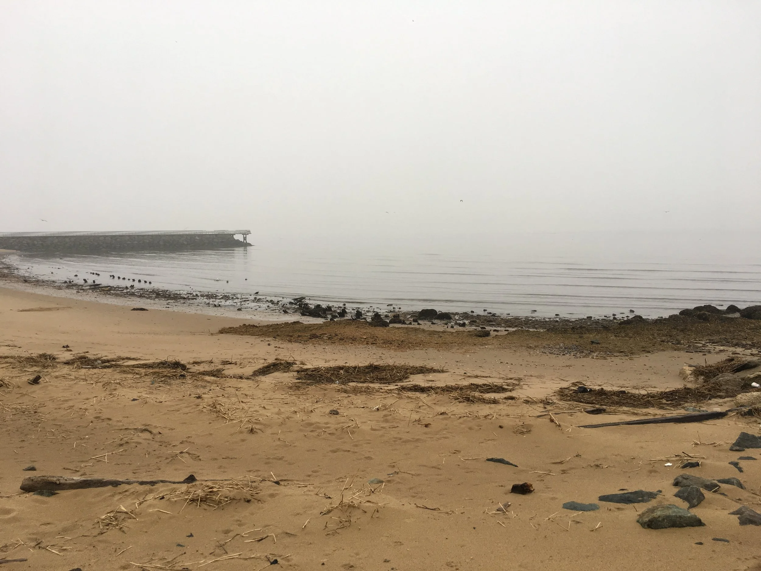 Jaclyn Joyce
Raritan Bay , 2021