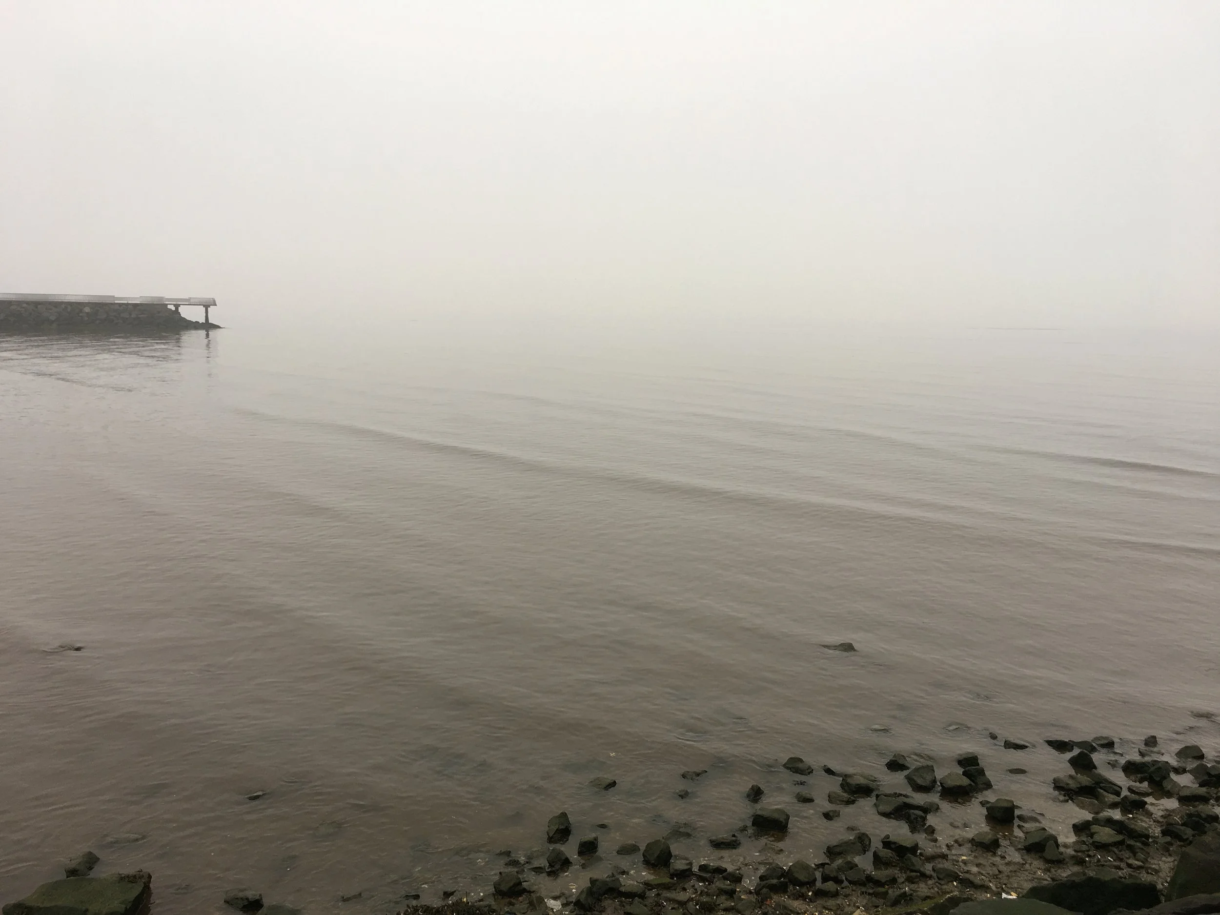 Jaclyn Joyce
Raritan Bay , 2021