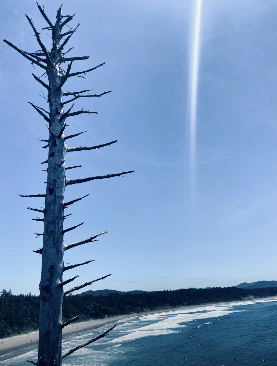 Jaclyn Joyce
The Oregon Coast, 2021