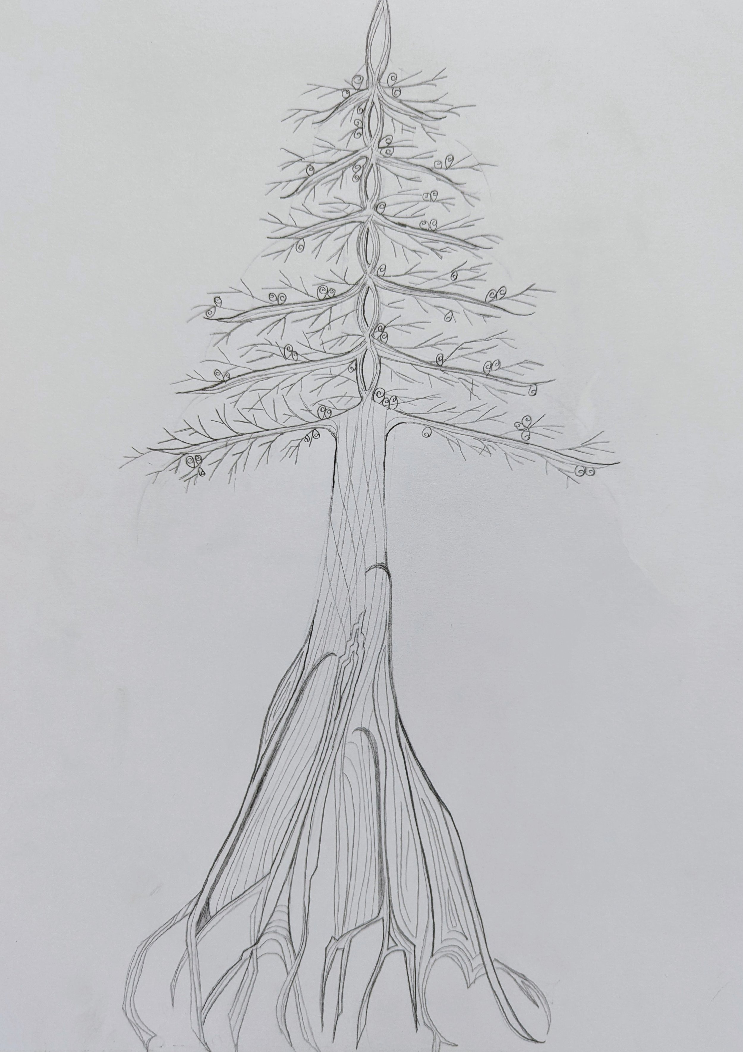Jaclyn Joyce
Ponderosa Pine, 2012
Graphite pencil
