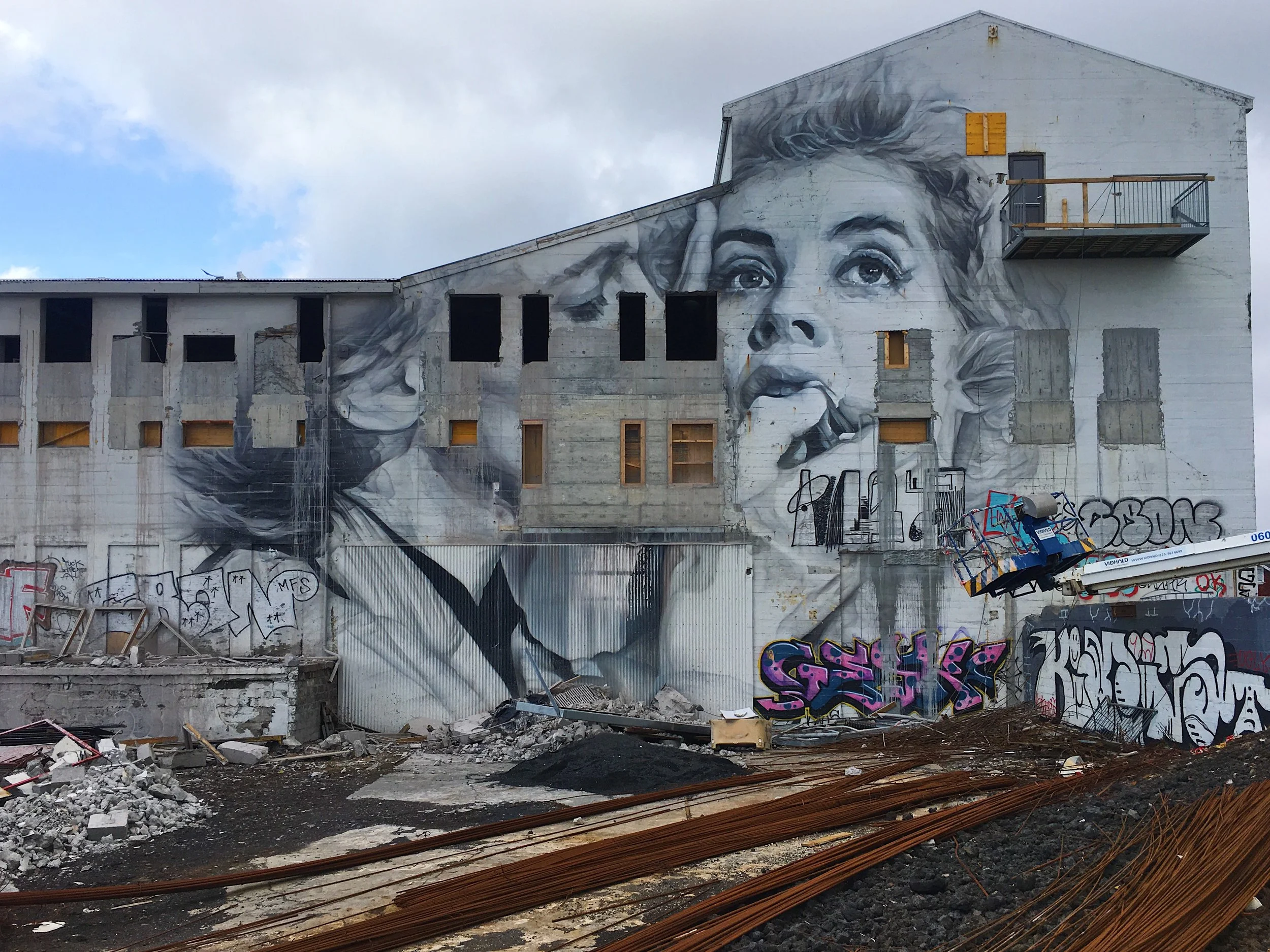 Jaclyn Joyce
Reykjavík Street Art by Guido van Helten, 2019 