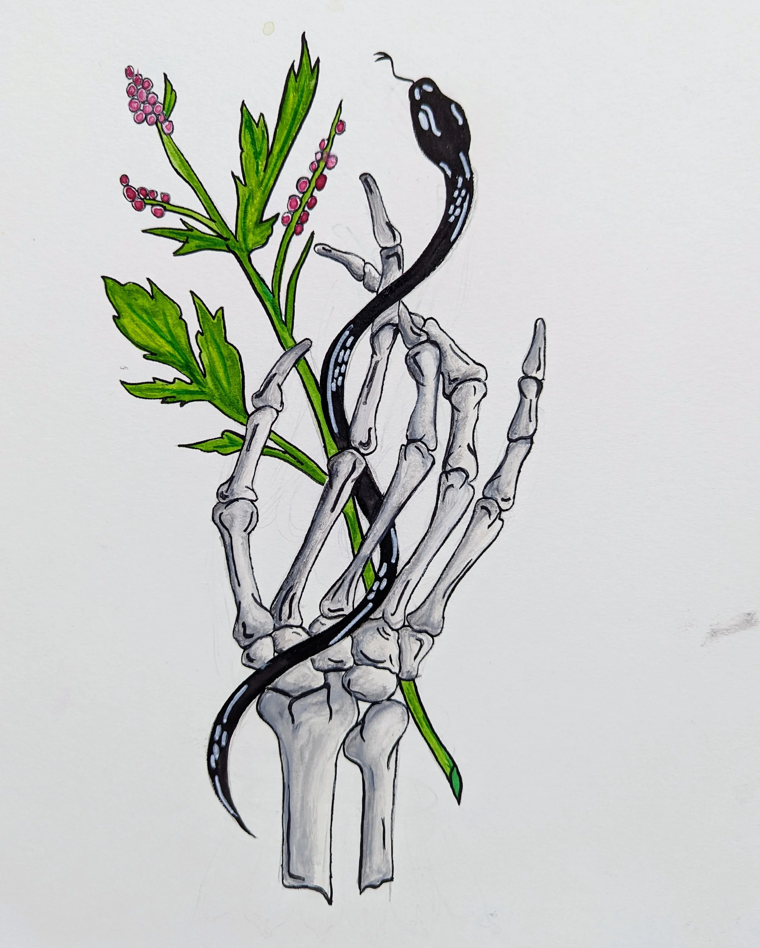 Jaclyn Joyce
Snake and Mugwort, 2020
Gouache and india ink