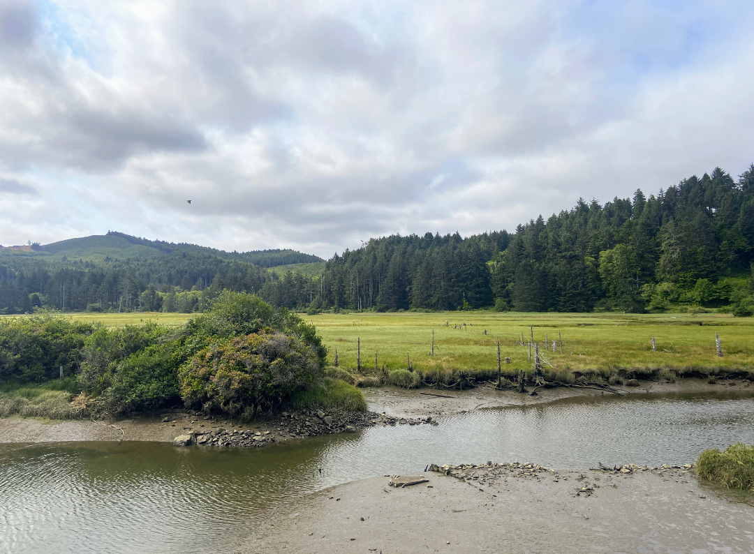 Jaclyn Joyce
Oregon, 2021