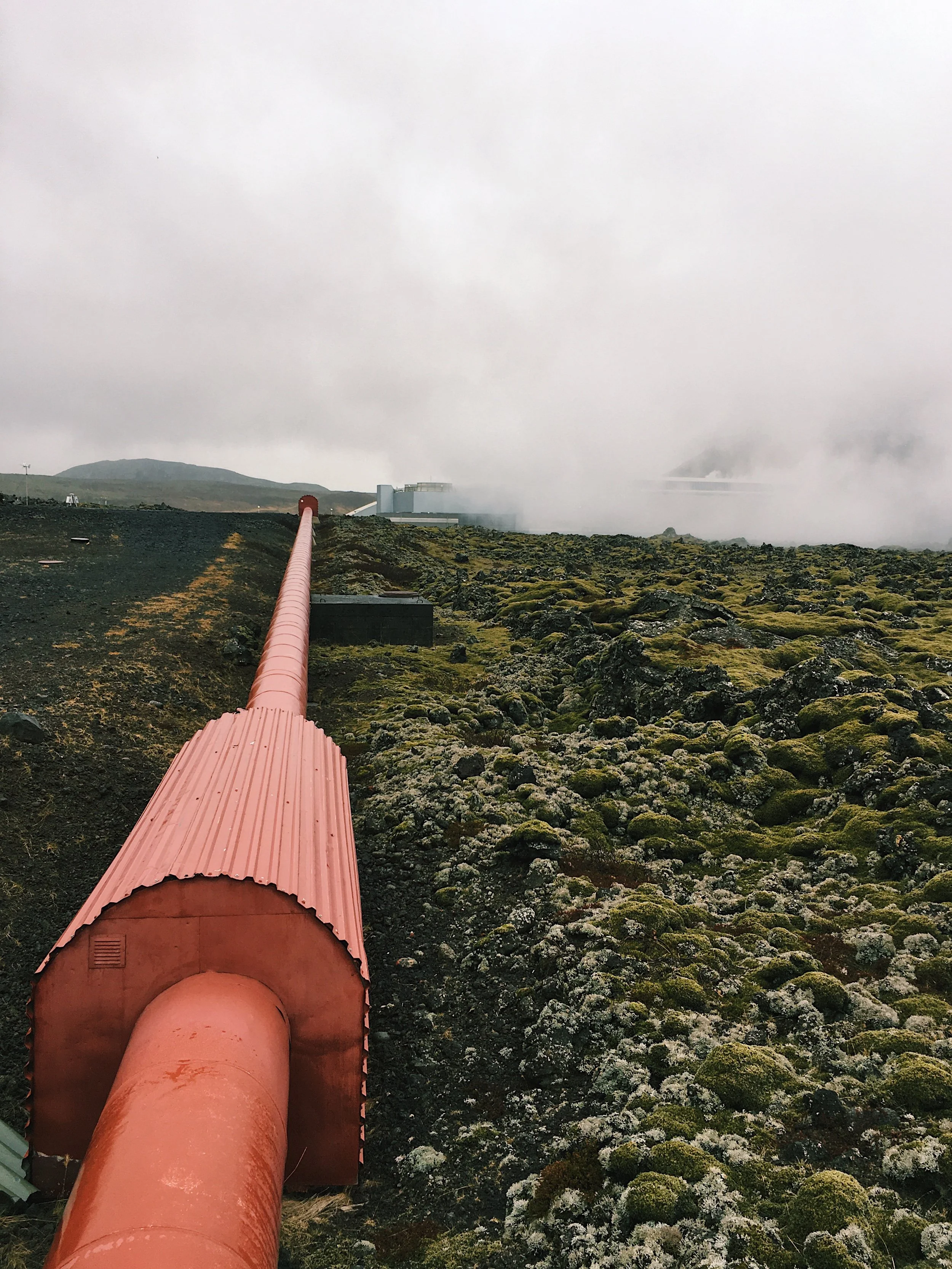 Jaclyn Joyce
Moss-covered Lava Fields, 2019