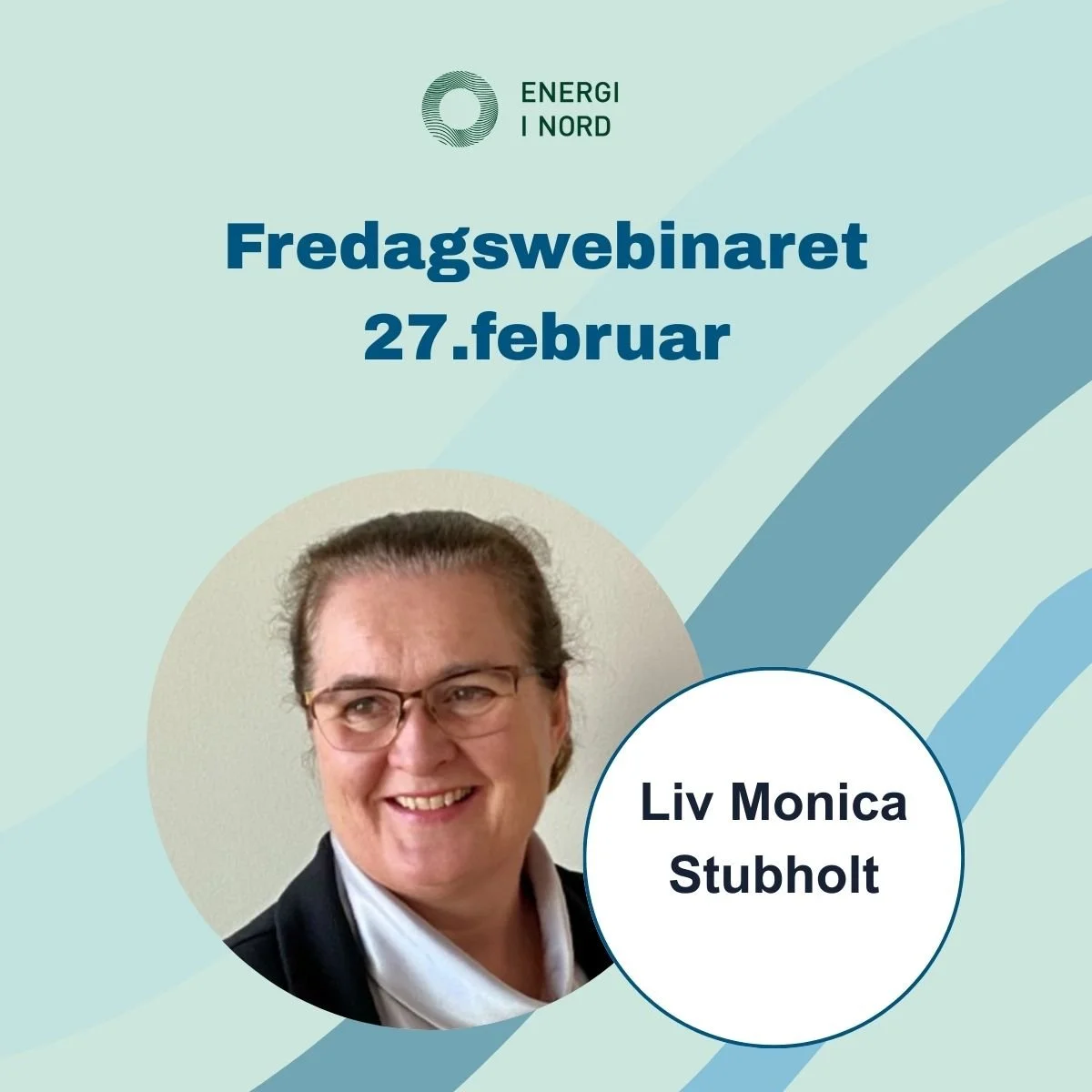 Fredagswebinaret Stubholdt LI.jpg