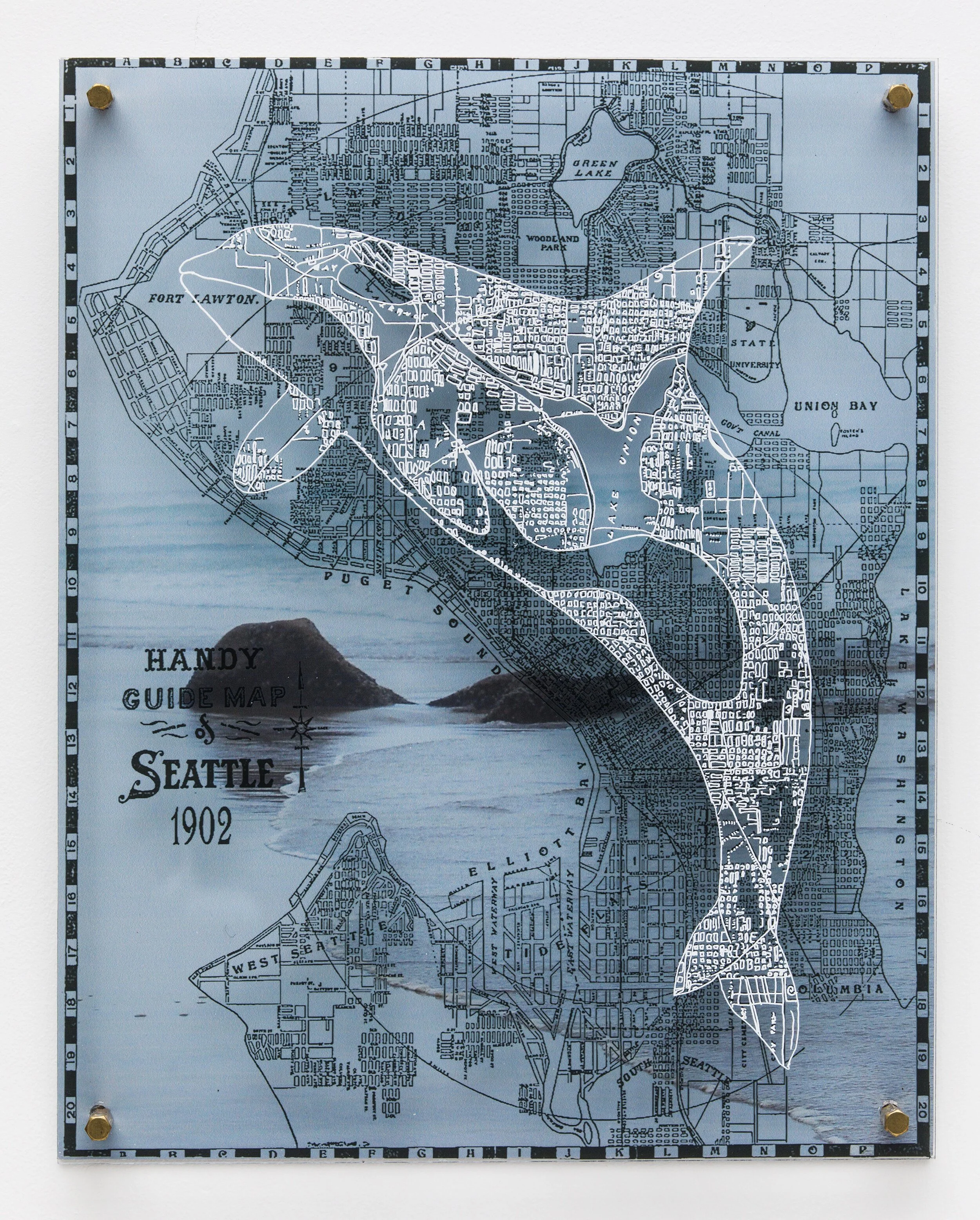 Seattle Orca