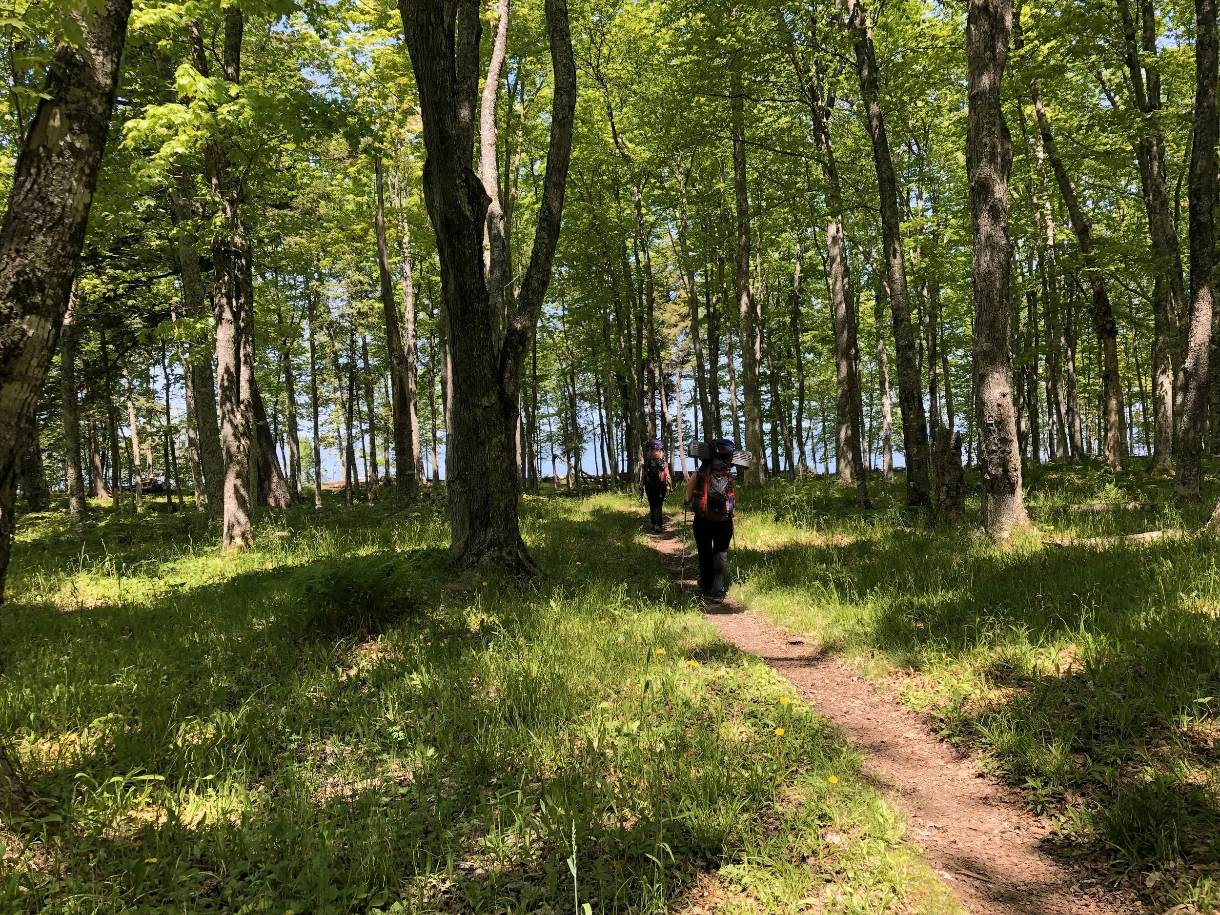 Hiking woods Lake michigan.jpg