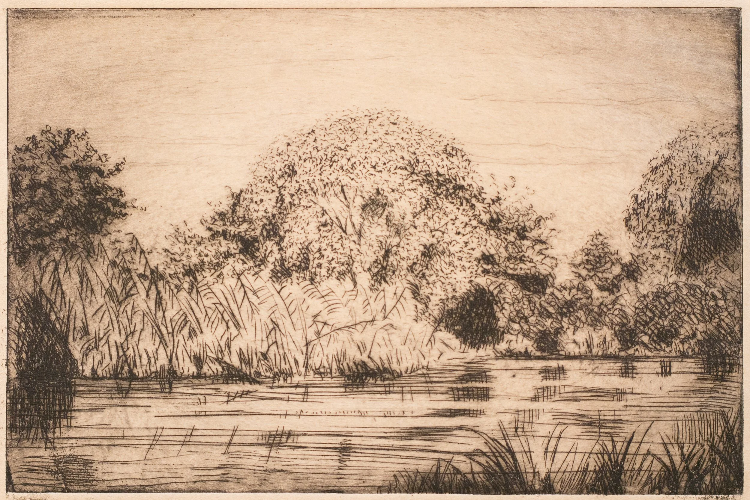 William McGregor Paxton, Marsh, Drypoint Etching, 4.75" x 7.5", $350