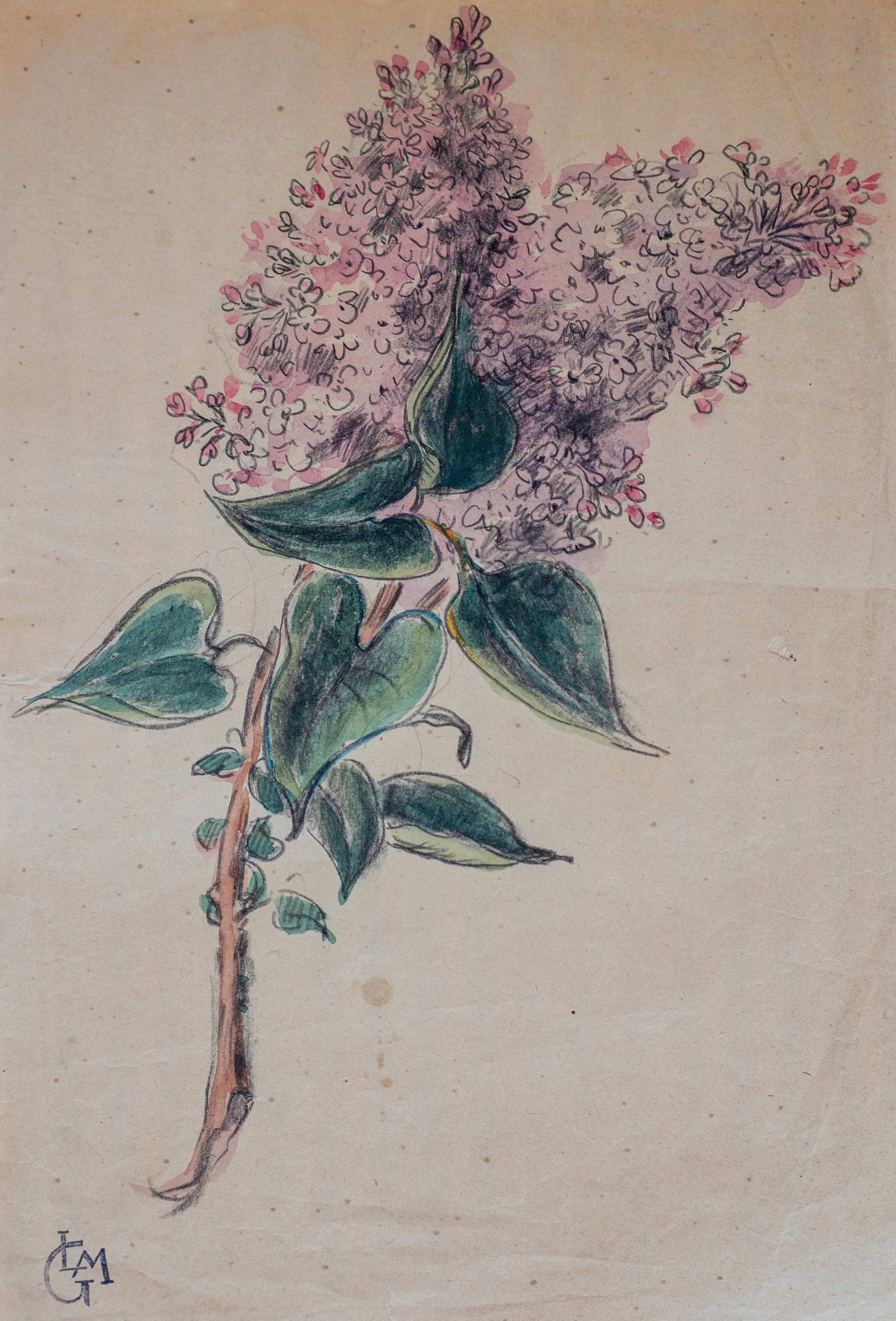 Léo Gausson, Lilas, Mixed Media on Paper, $500