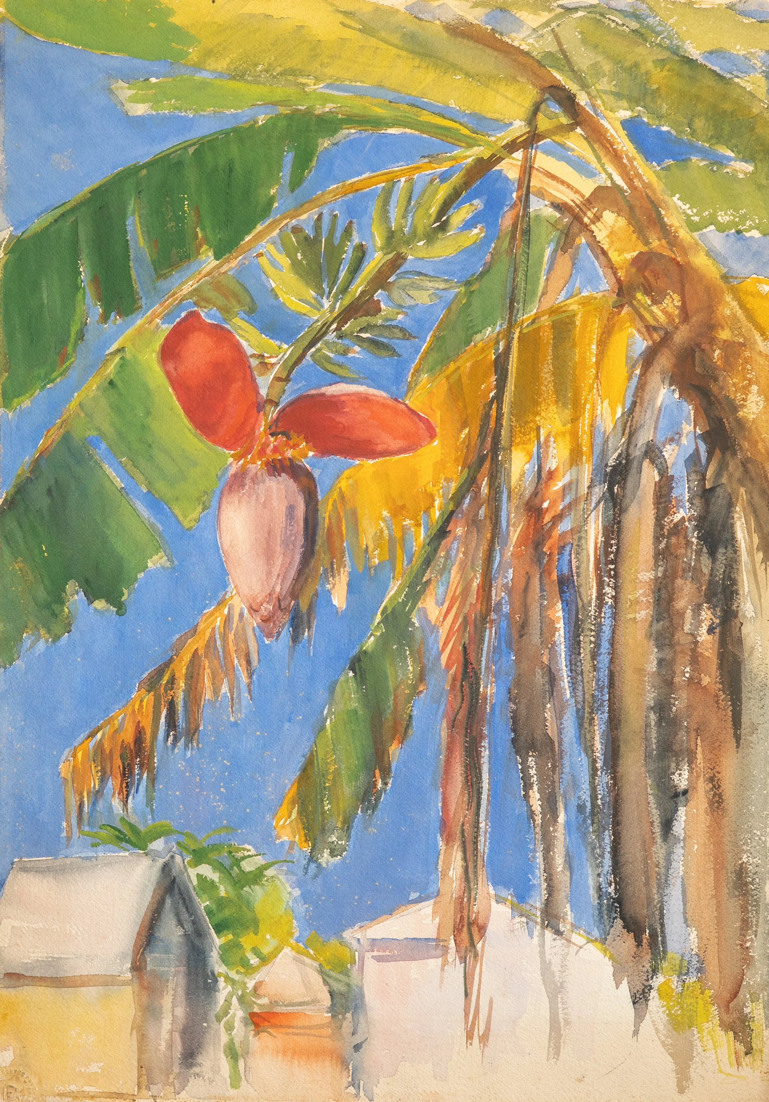 Martha E. Crocker, Banana Tree, Watercolor on Paper, 20" x 14", $350