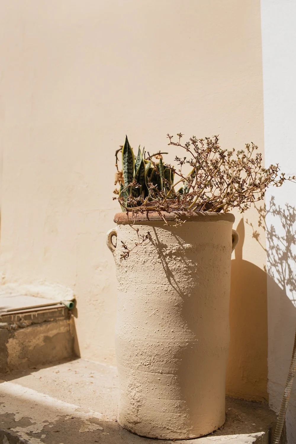 A tall outdoor planter containing green succulents and dried plants, with shadows cast on a light-colored wall.