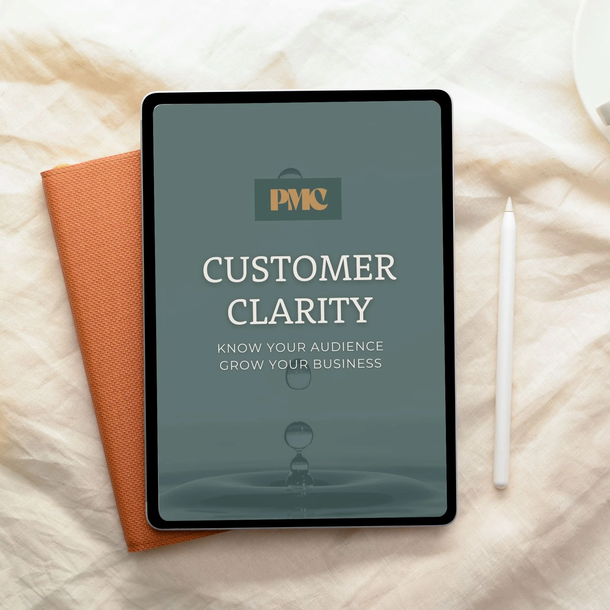 Customer Clarity Mockup1.jpg