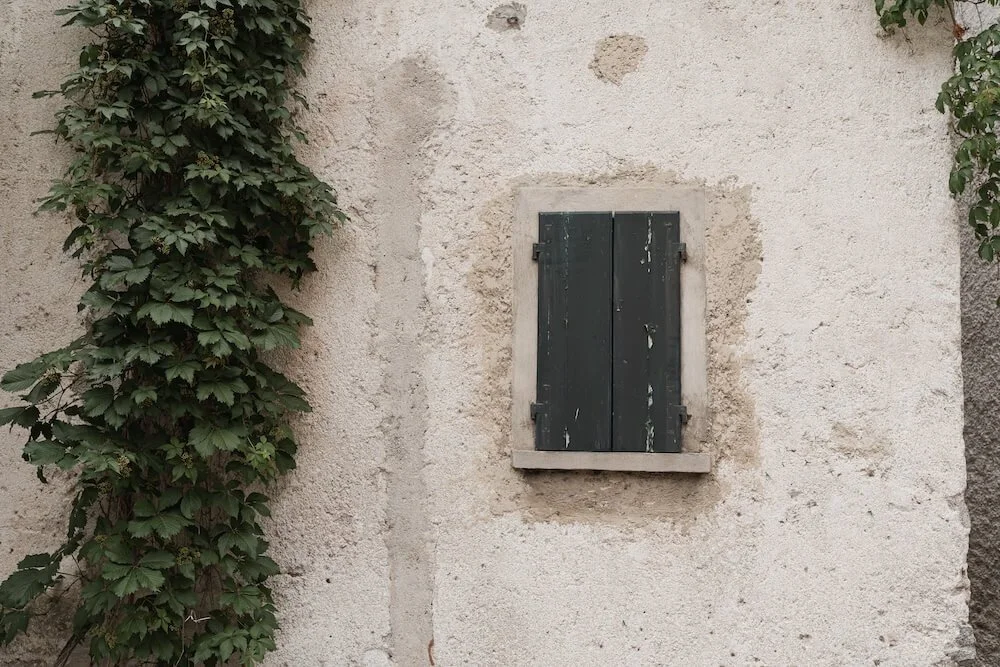 A closed dark green window shutter on a white, textured wall with some patches of exposed brick and two leafy plants, one on each side.