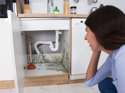 Prevent Mold Growth in Your Home