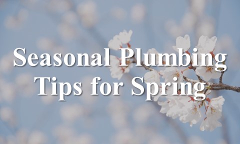 Seasonal Plumbing Tips for Spring