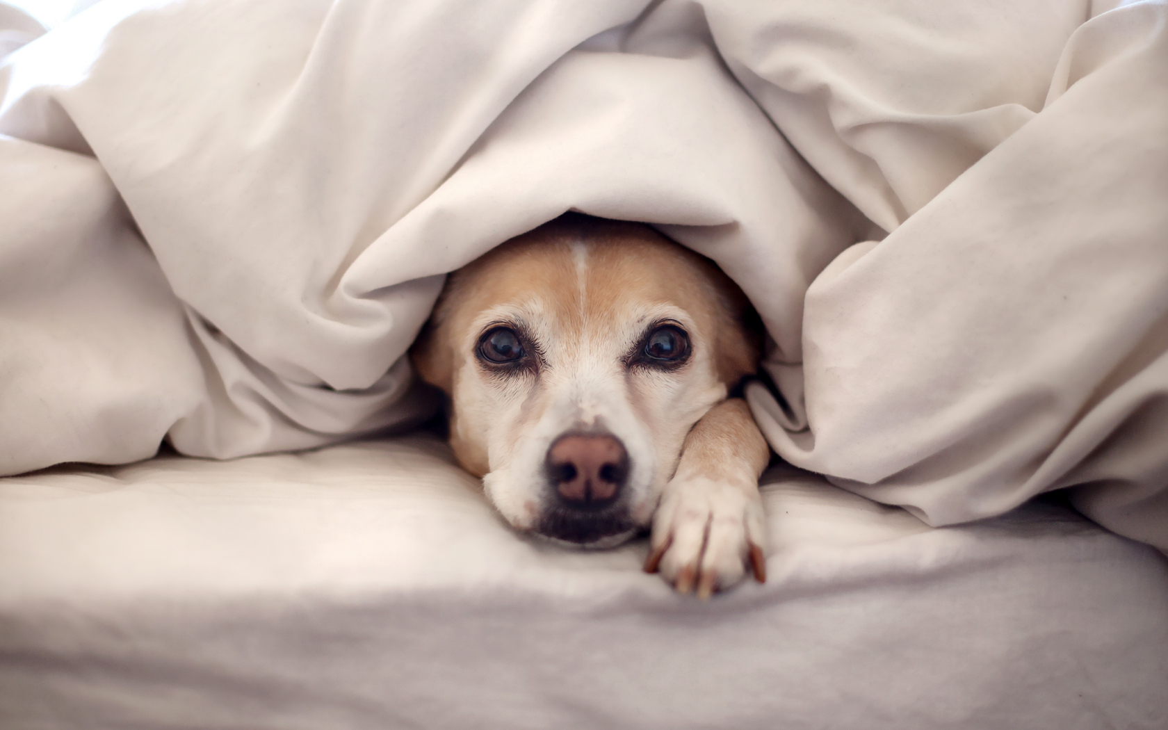 Why is my house cold even with the heat turned on?