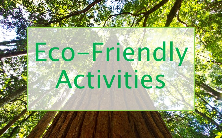Eco-Friendly Activities