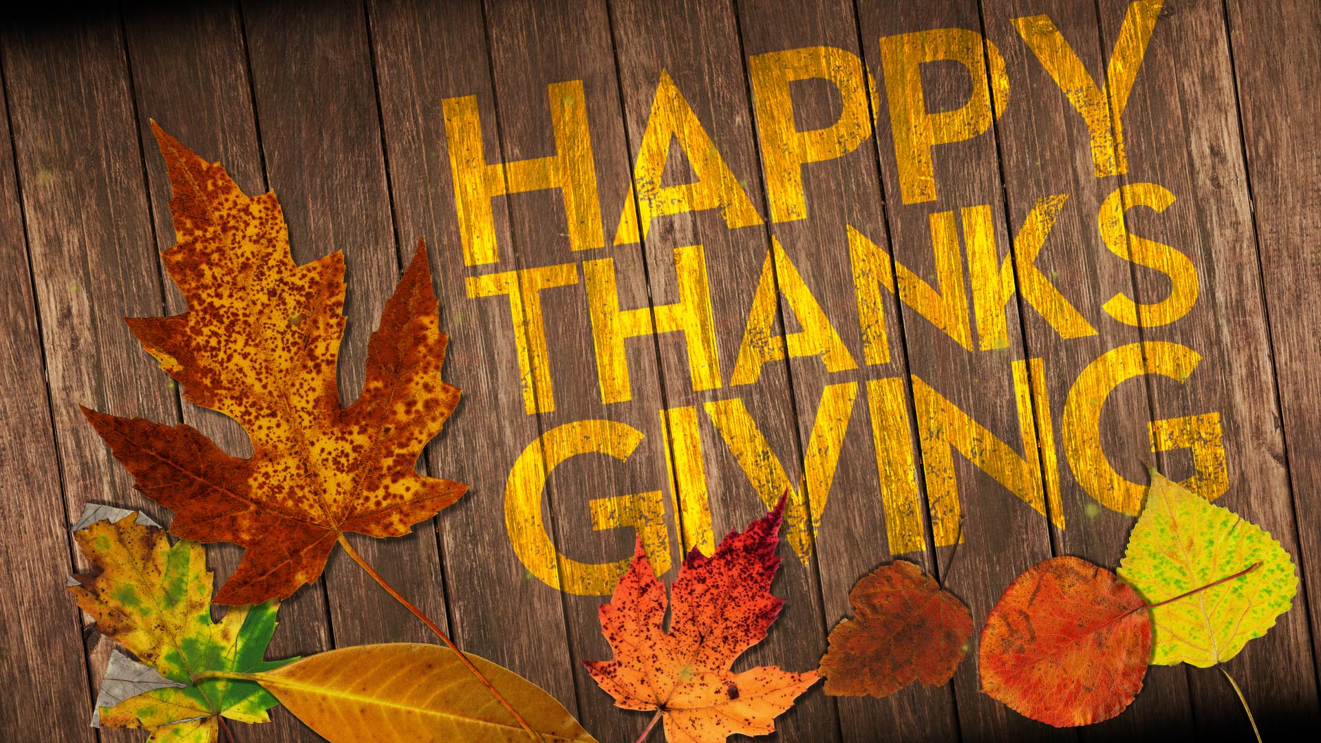 Happy Thanksgiving!