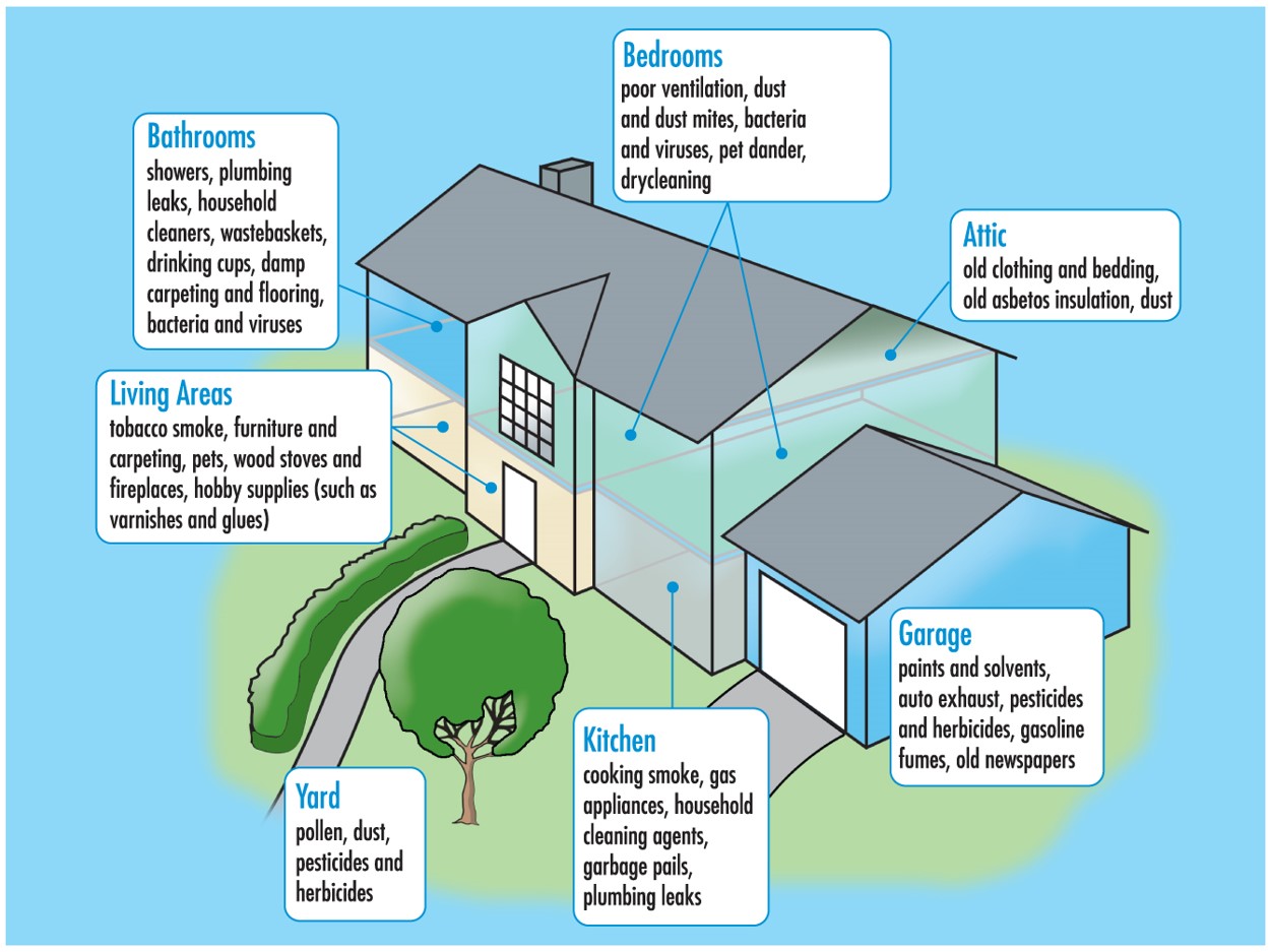 Indoor Air Analysis