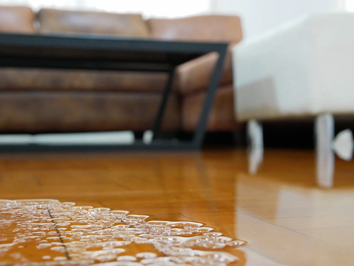 hidden water leak detection.jpg