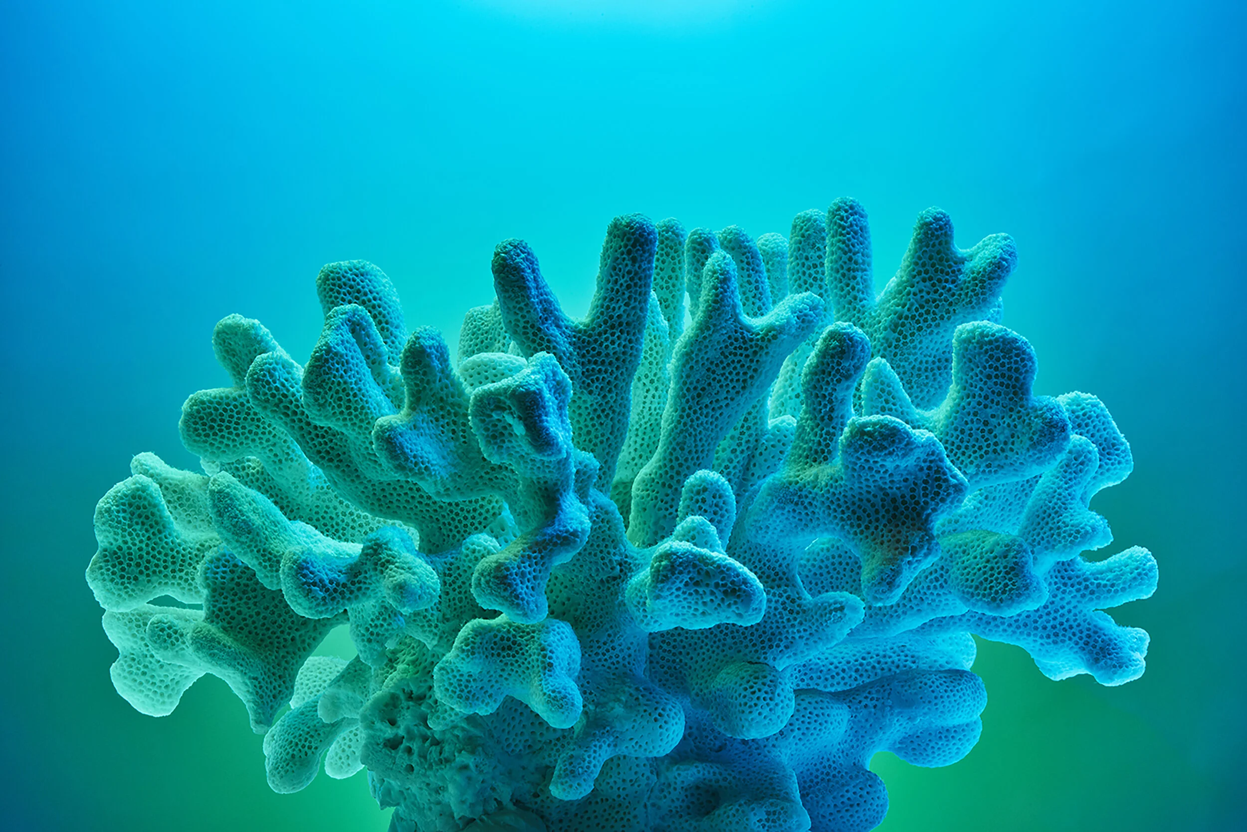 1_2021_VIVO_PRODUCT_PORTFOLIO_NIKON_8891.jpg