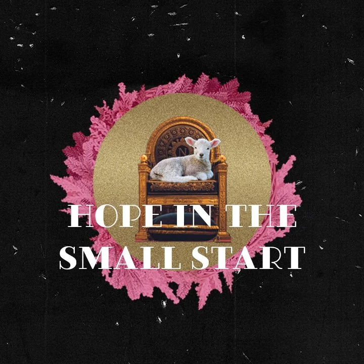Hope in the Small Start