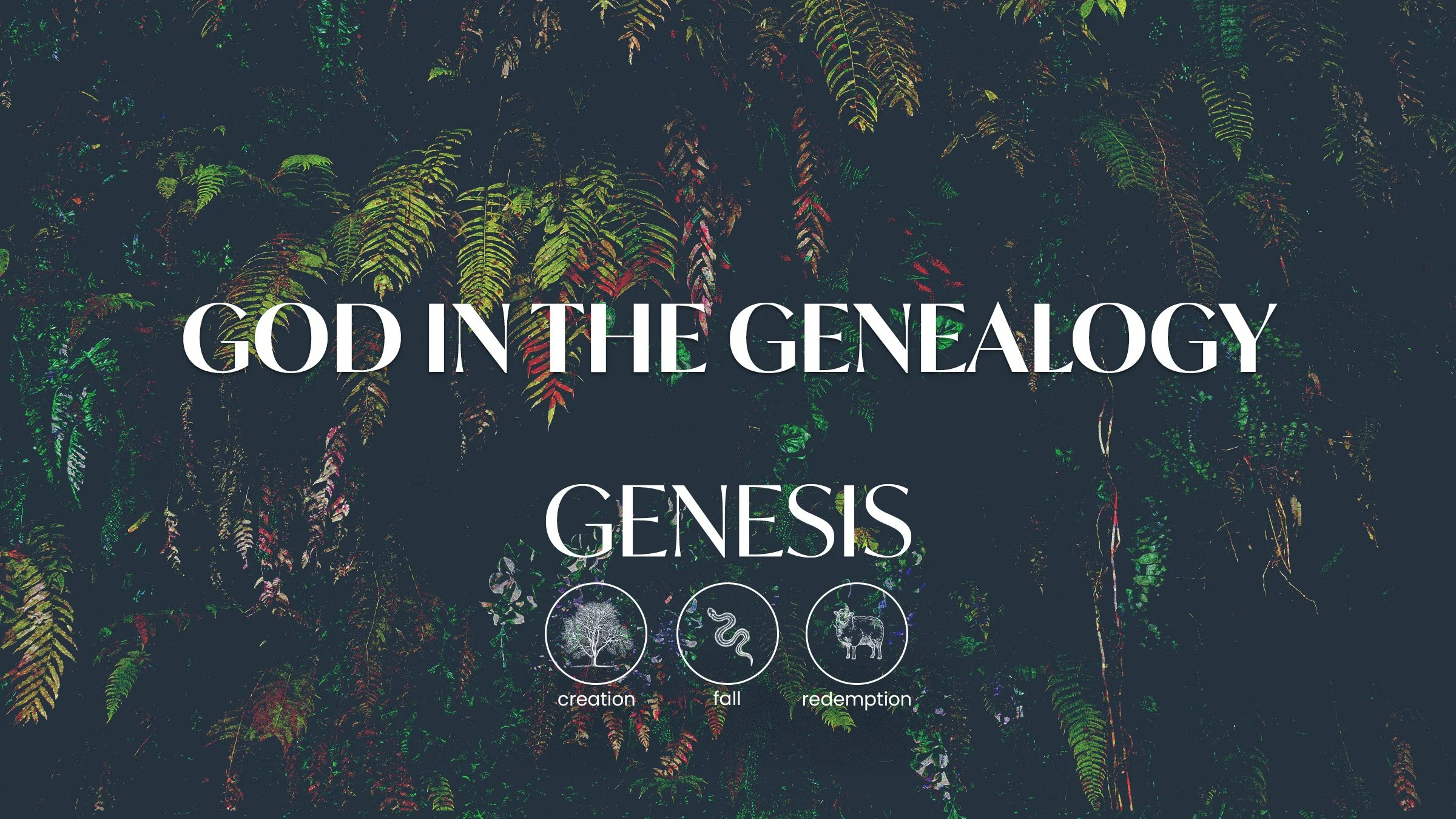 God in the Genealogy