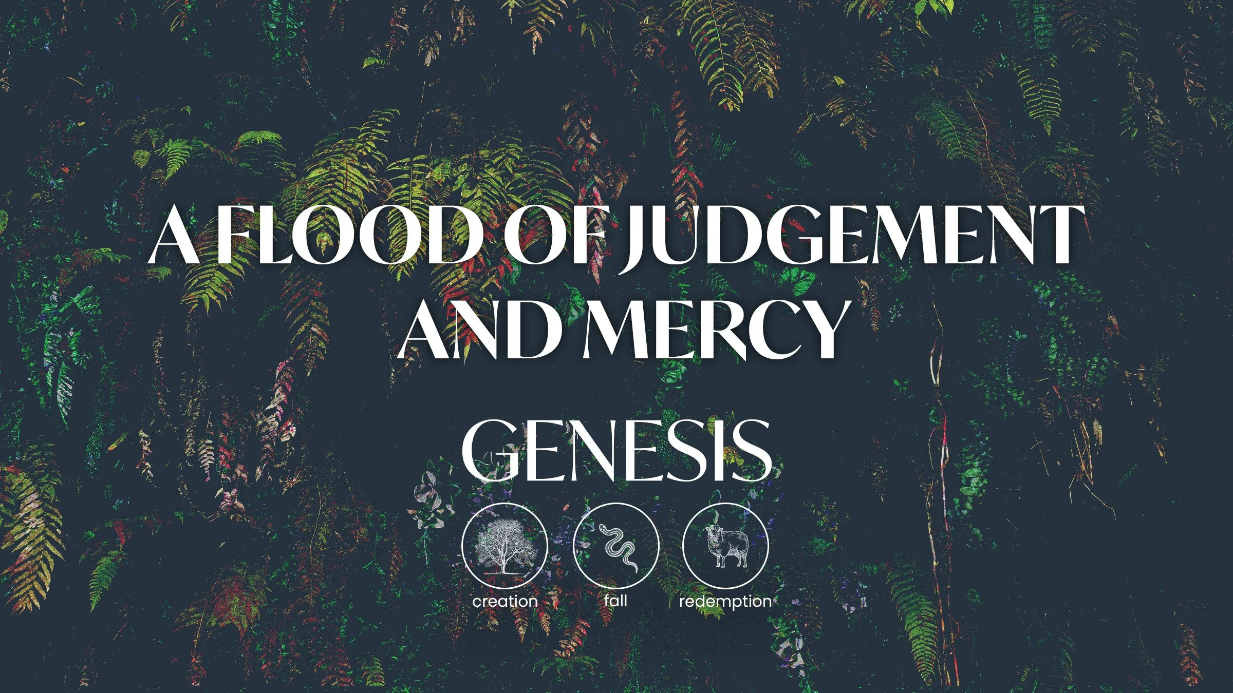 A Flood Judgement and Mercy