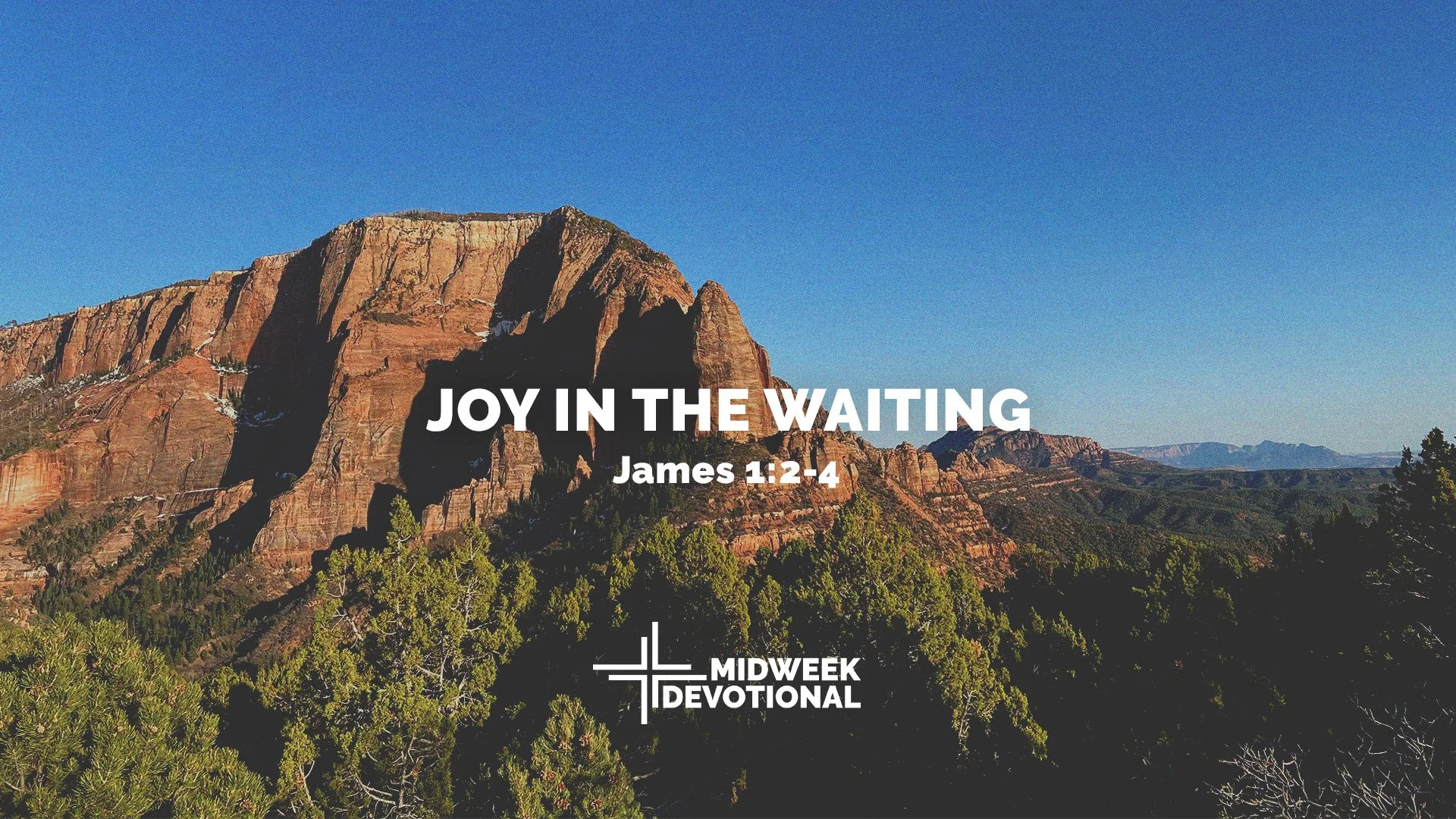 Joy in the Waiting