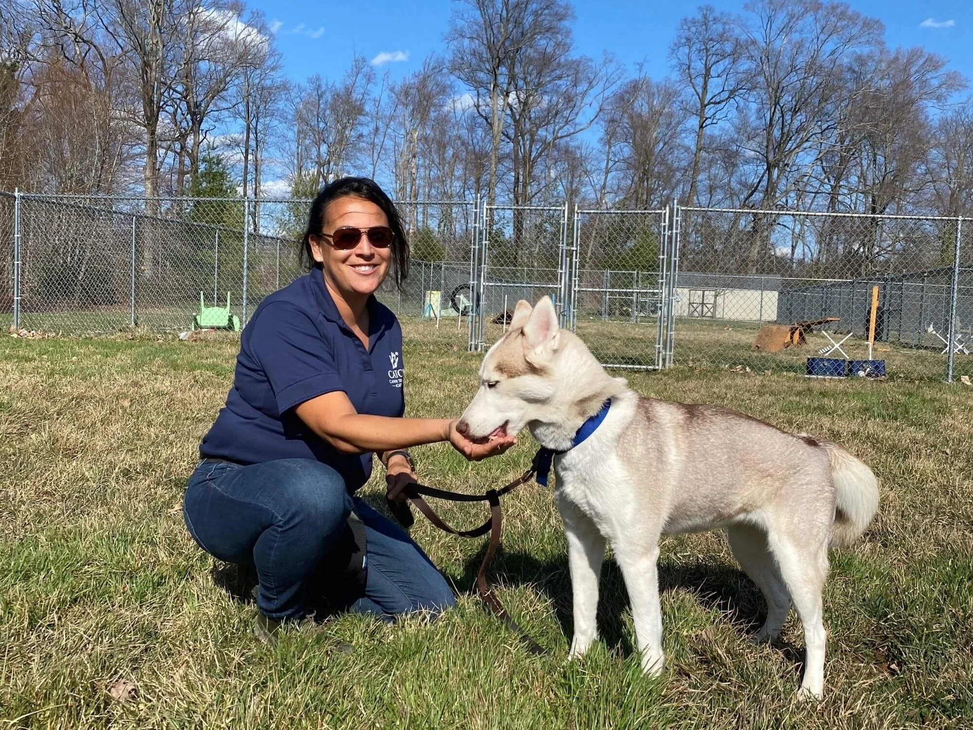 Dog trainer hand-feeding a Husky during a training session.