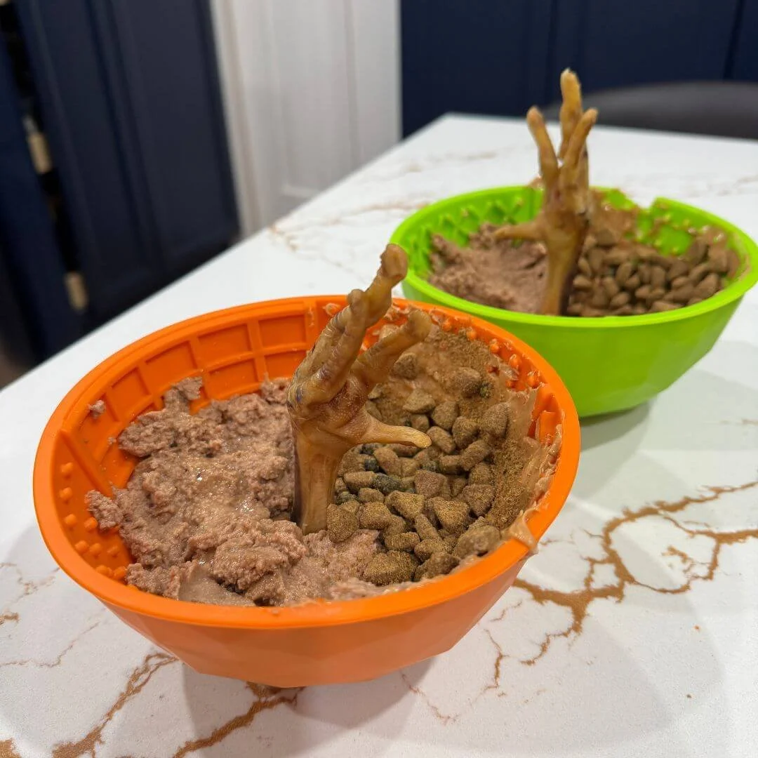 Two orange and green lick bowls filled with raw dog food, kibble, and exotic duck feet treats.