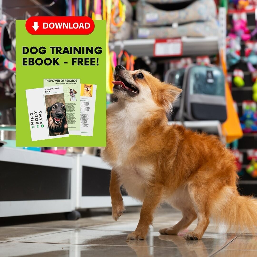 Looking for some guidance on how to better understand and bond with your pup? We have just the thing! Download our free guide to R+ Dog Training, link above. 

#northernvalleyliving #dogtrainingadvice #caninebehavior #njsmallbusiness #fearfreephappyh