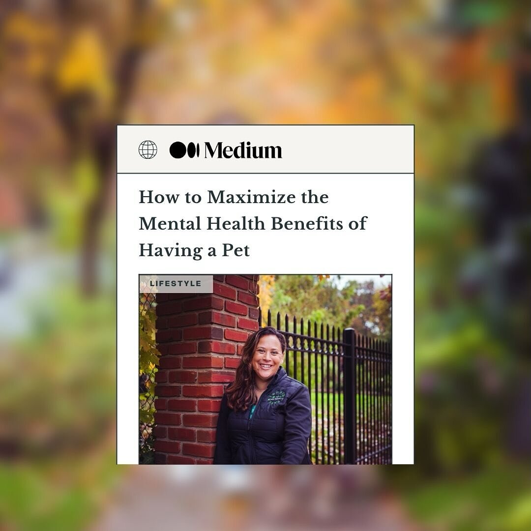 Something to celebrate! My feature piece in The Medium is out - and it's all about the benefits of pet on our mental health.  Check it out and share it with someone who doesn't understand why you love your furry, feathered, or scaly friend so much! [