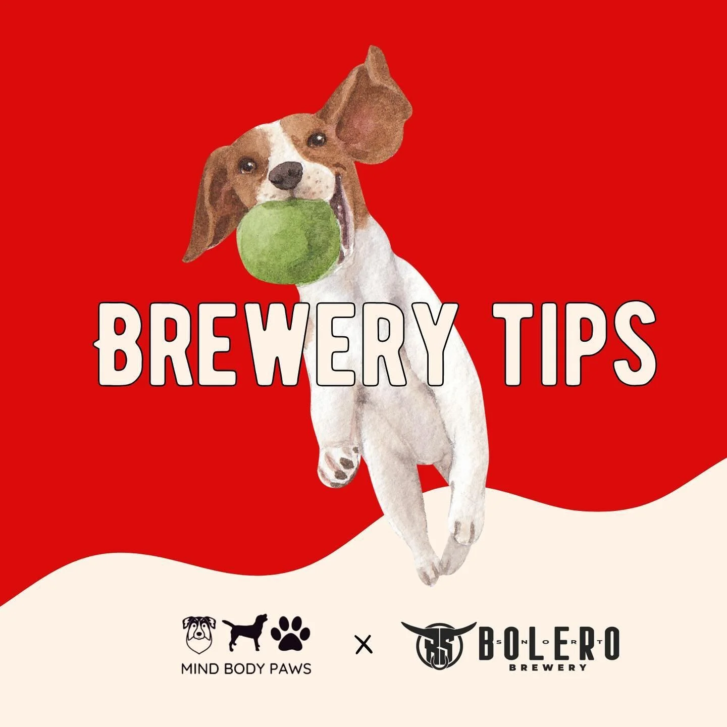 Brew Dog tips curated just for you because 🥁 this Saturday from 12-10 we will be at Bolero Snort Brewery! 🤩  Together we are fundraising for the shelter pets at RBARI! There will be music, food and brew, of course — kids are welcome too! 🐕🍺