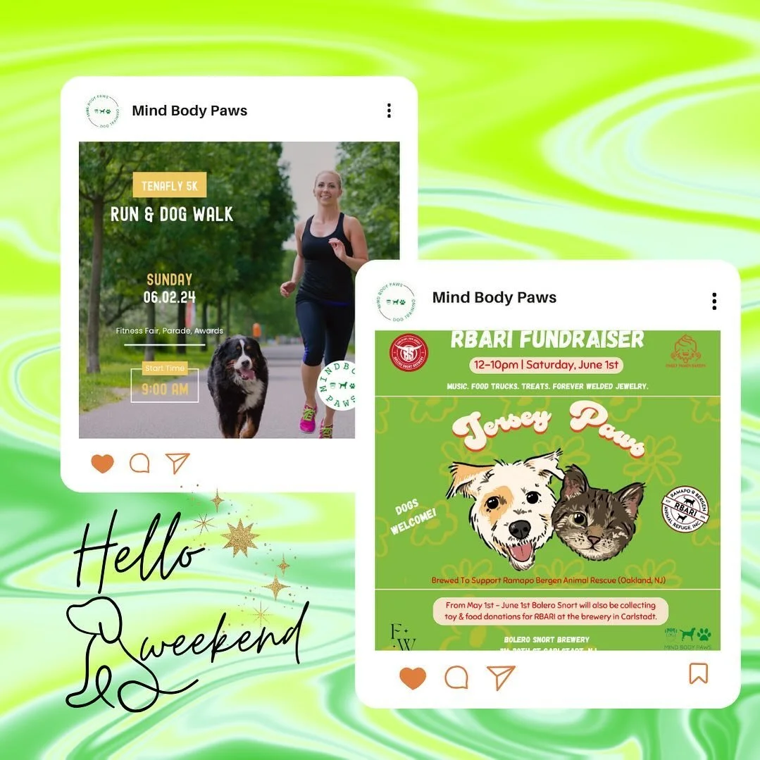 Got plans? Trust us, you’ll want to change them! 
Join us today for a community fundraiser at Bolero Snort Brewery—where good times and great brews come together. 🍻🐾
Then, lace up for Sunday’s Tenafly 5K and Dog Walk. It’s