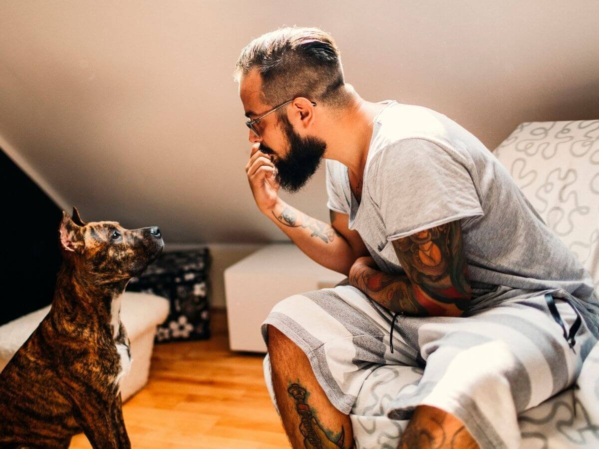 Dog Talk: Decoding Barking and Body Language