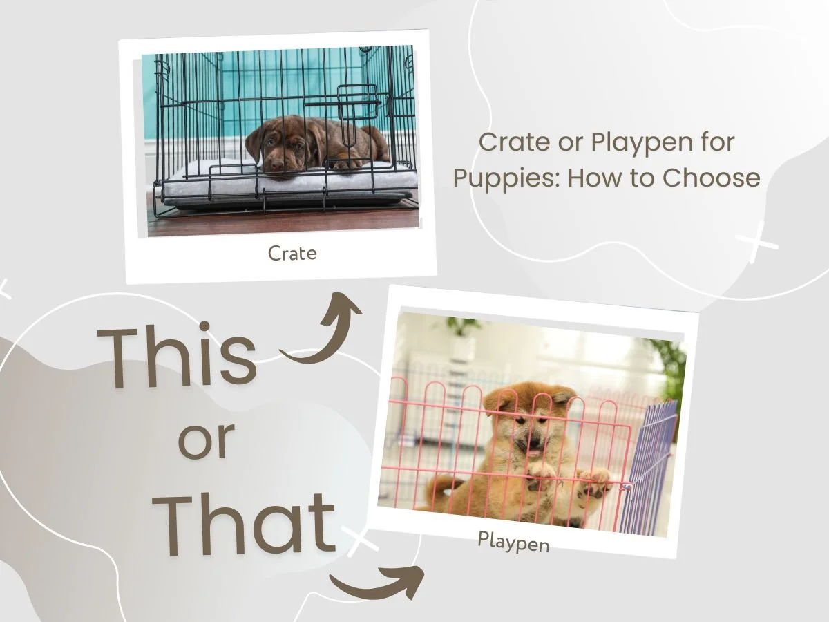 Crate vs Playpen for Puppies: What Actually Works at Home