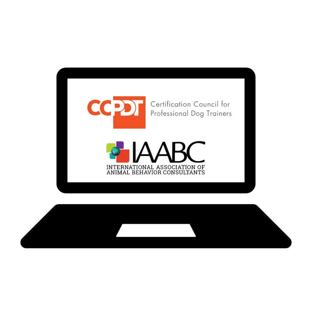 CCPDT and IAABC organization logos displayed on a computer screen