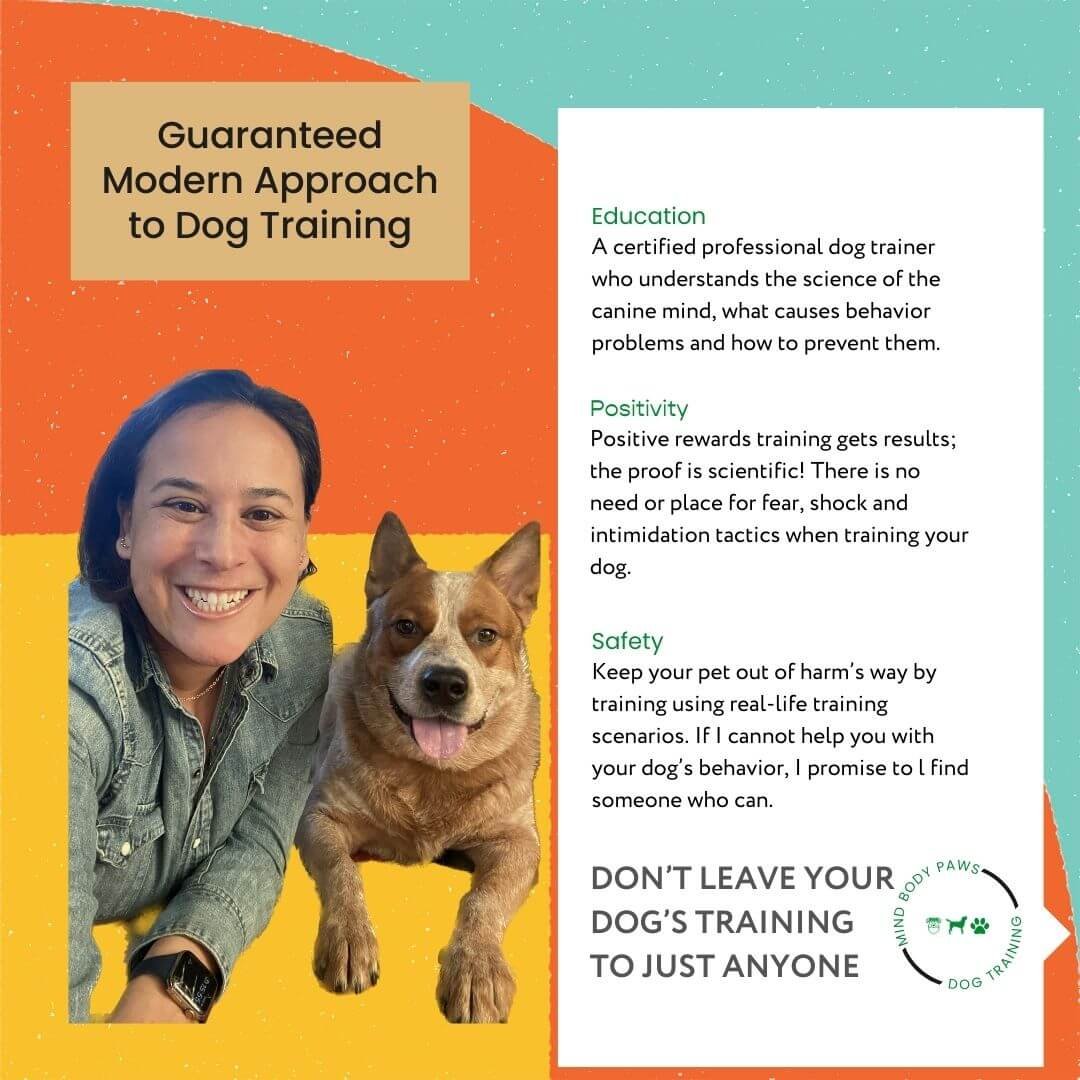Dog trainer and dog resting together on the floor during a calm in-home training moment