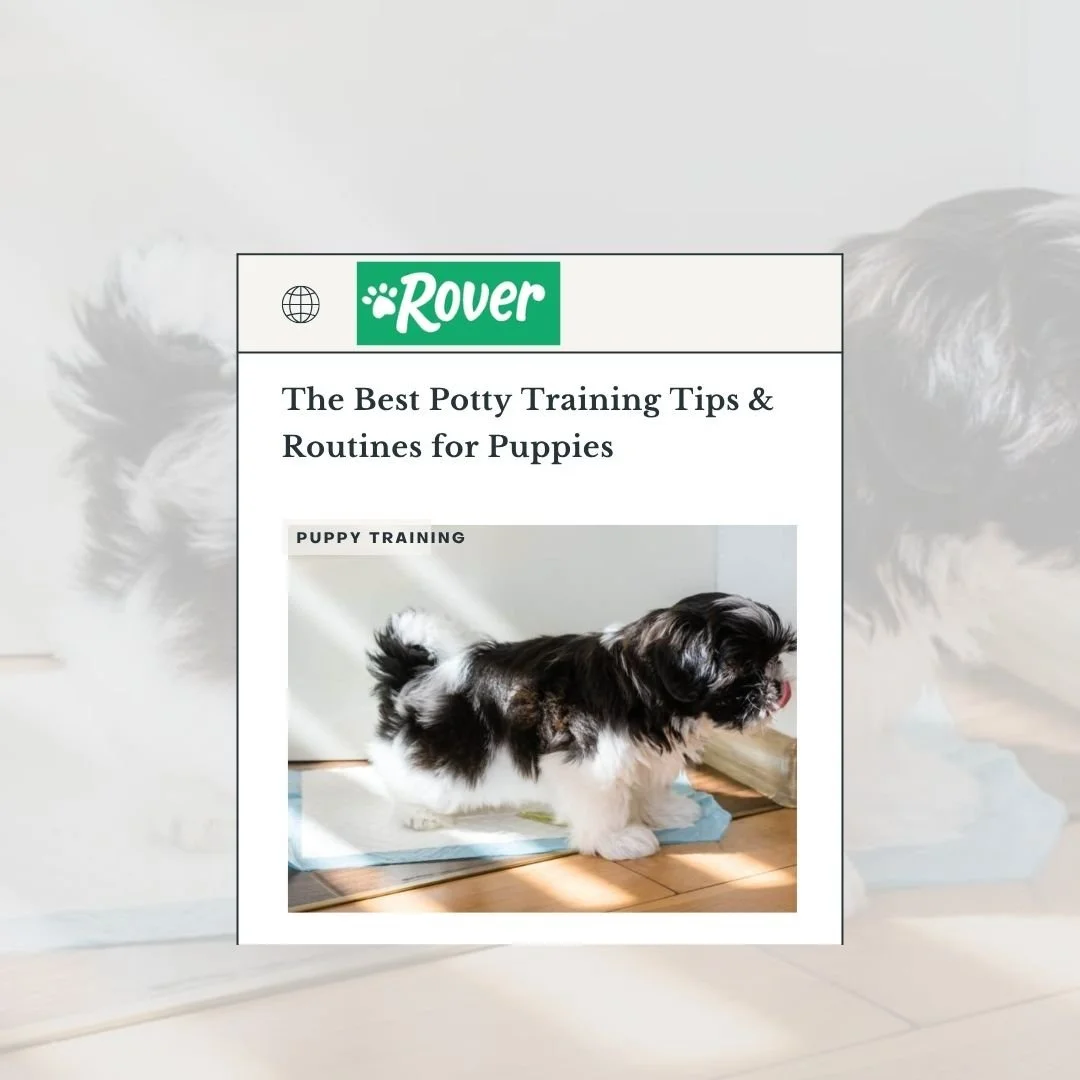 Rover- Best Potty Tips Puppies.jpg