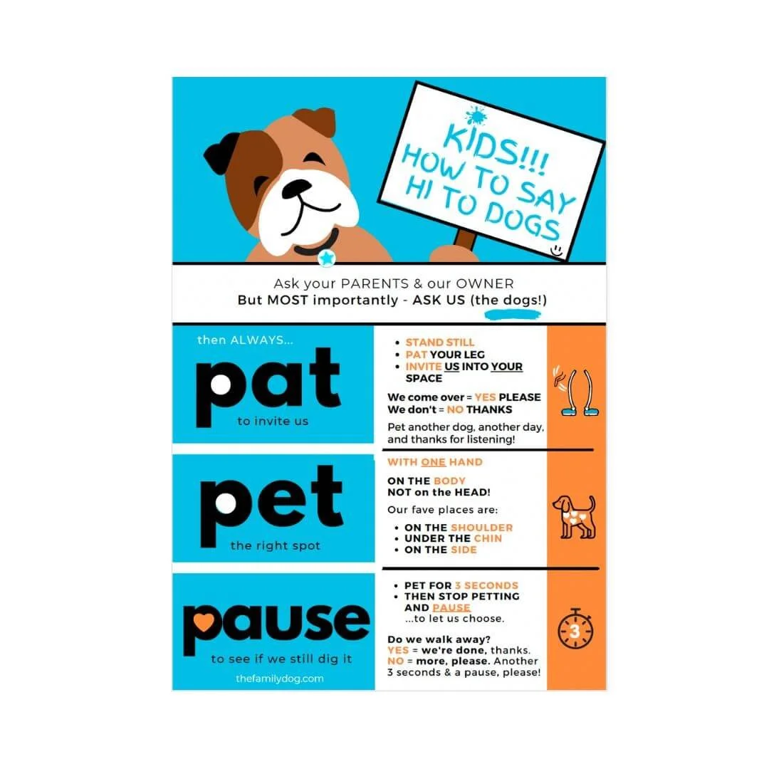 Pat Pause Pet infographic teaching safe interactions between kids and dogs