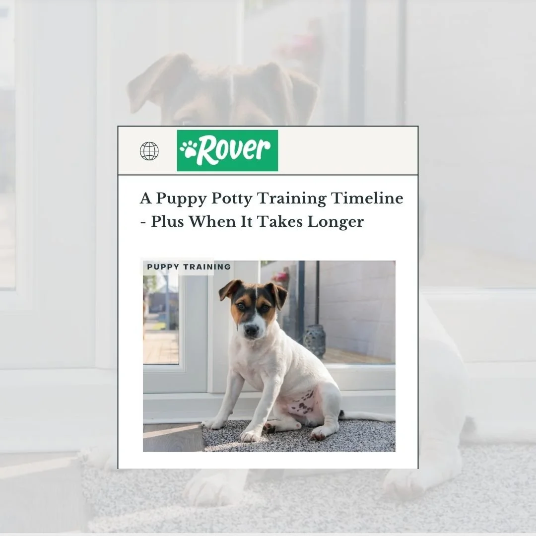 Rover - Puppy Potty Training Timeline.jpg