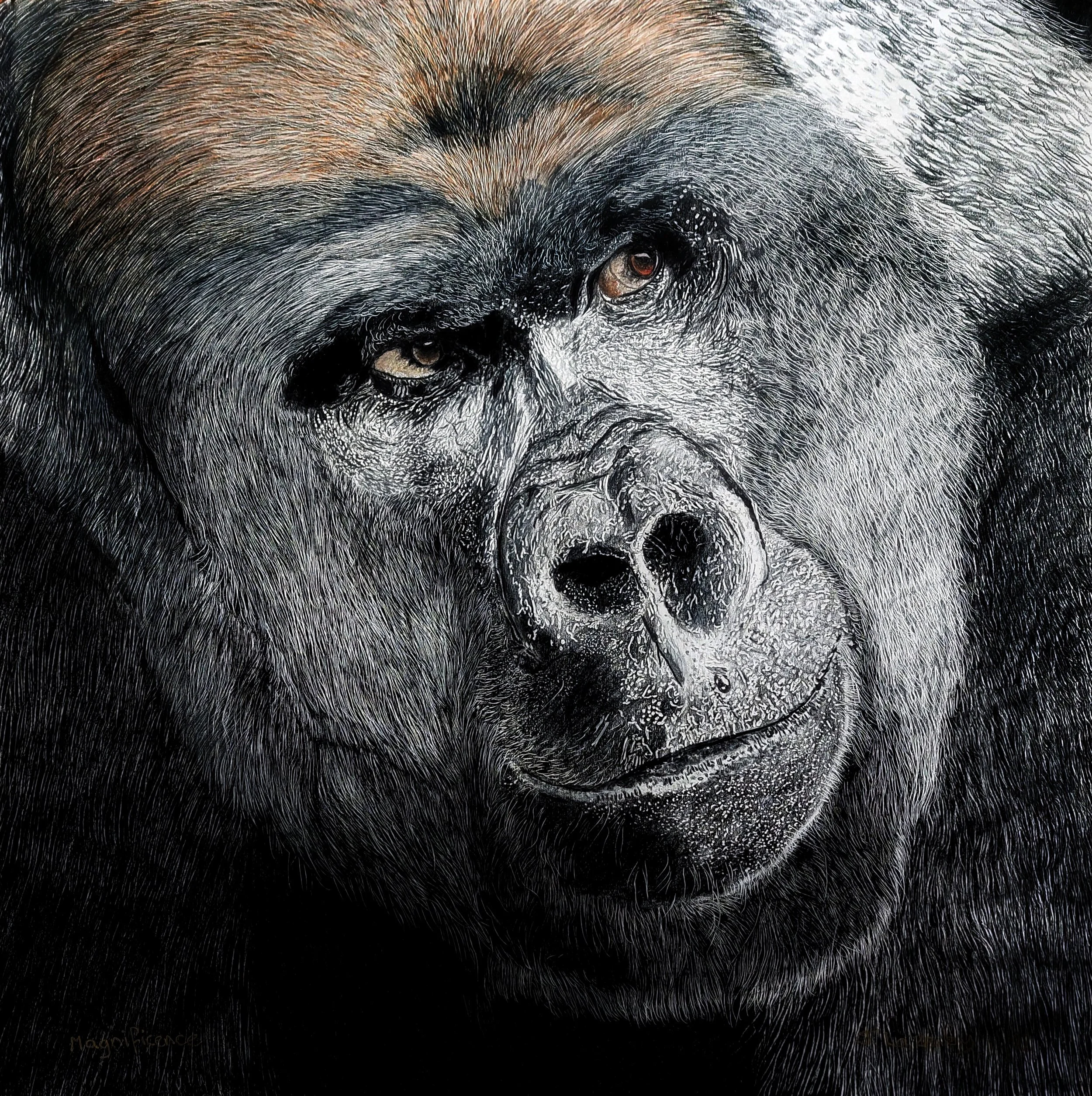 Title: Rwanda Original 
Size: Drawing 50cm x 50cm. Frame with mount 60cm x 60cm 
Price £275 
Free Delivery UK 
Rest of the World Delivery Plus £50