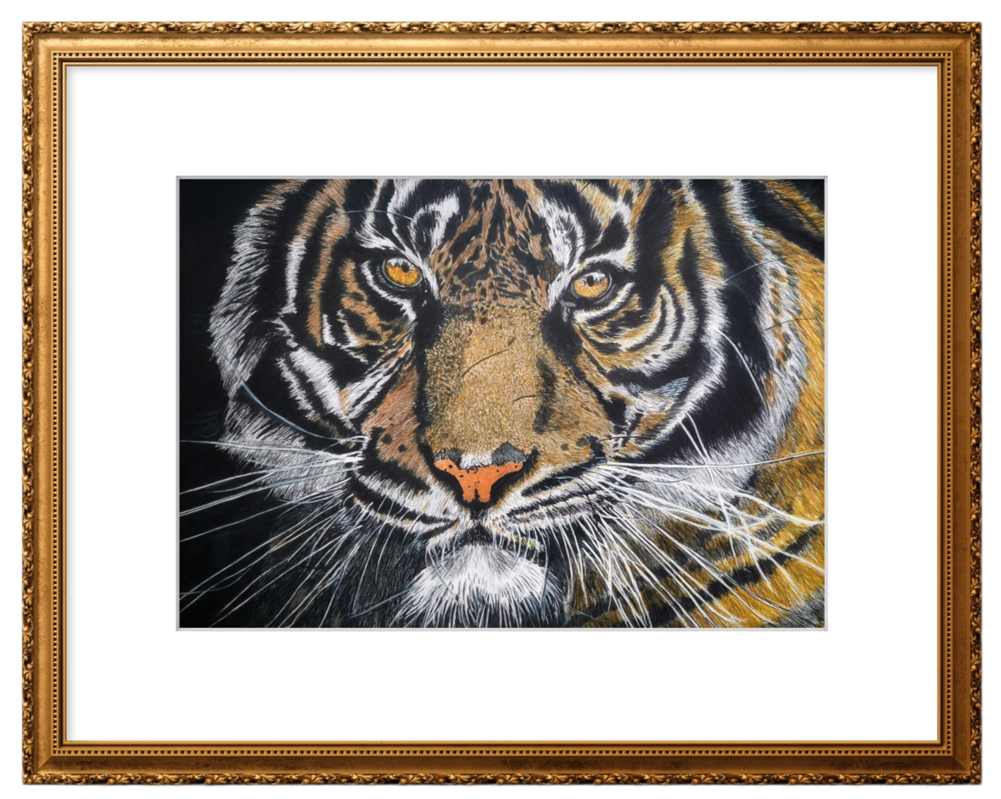 Title: Stripes. 
Dimensions: A1, 59.4cm x 84.1cm
Medium: Prismacolour Premier Soft Core Coloured Pencils on 350gsm Bristol Board.
Framed in Gold with a White Border. Price: UK only £295 postage and packaging included. If you opt for the interest free