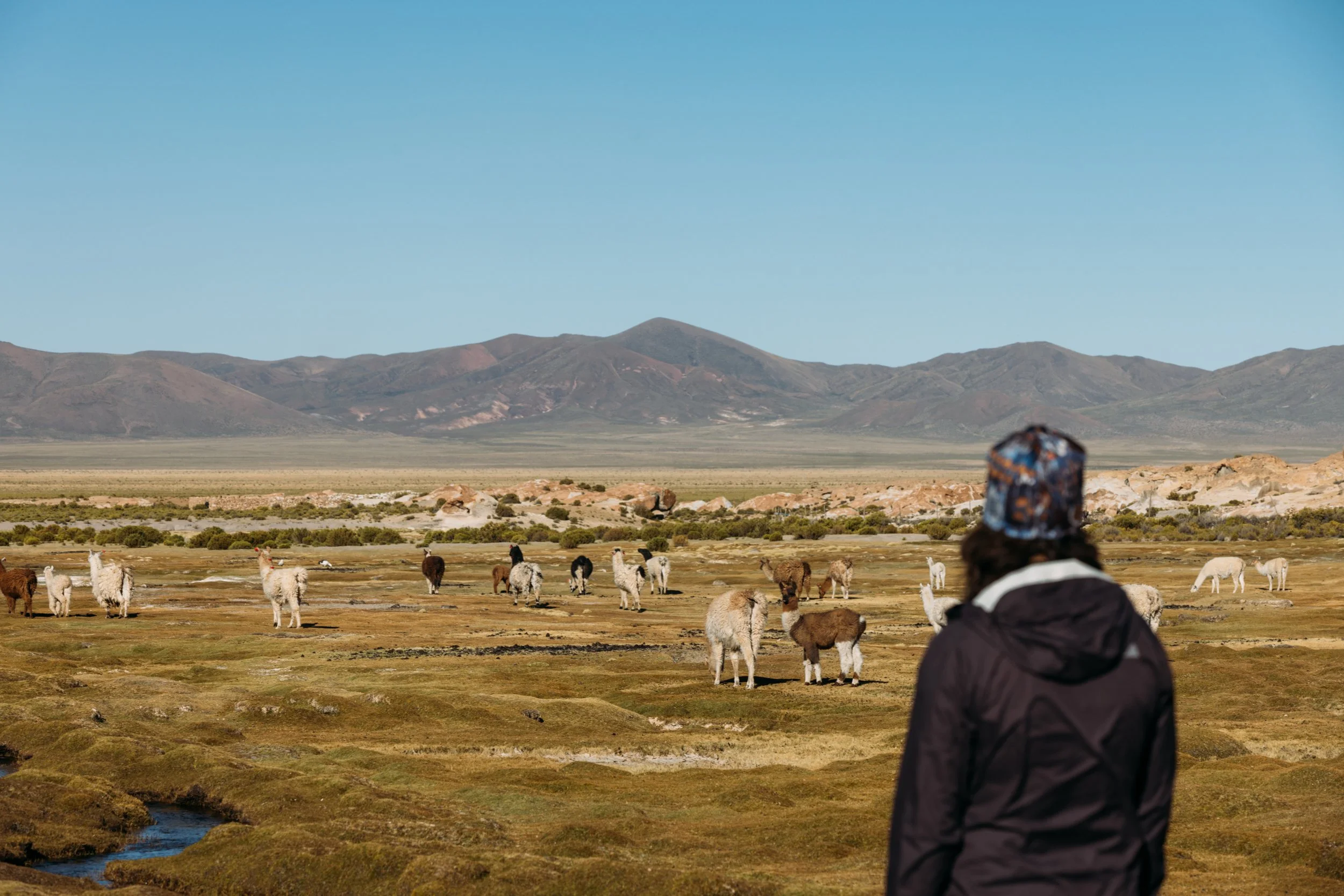 Potosi-Bolivia_20220413_Alina-Tsvor-425.jpg