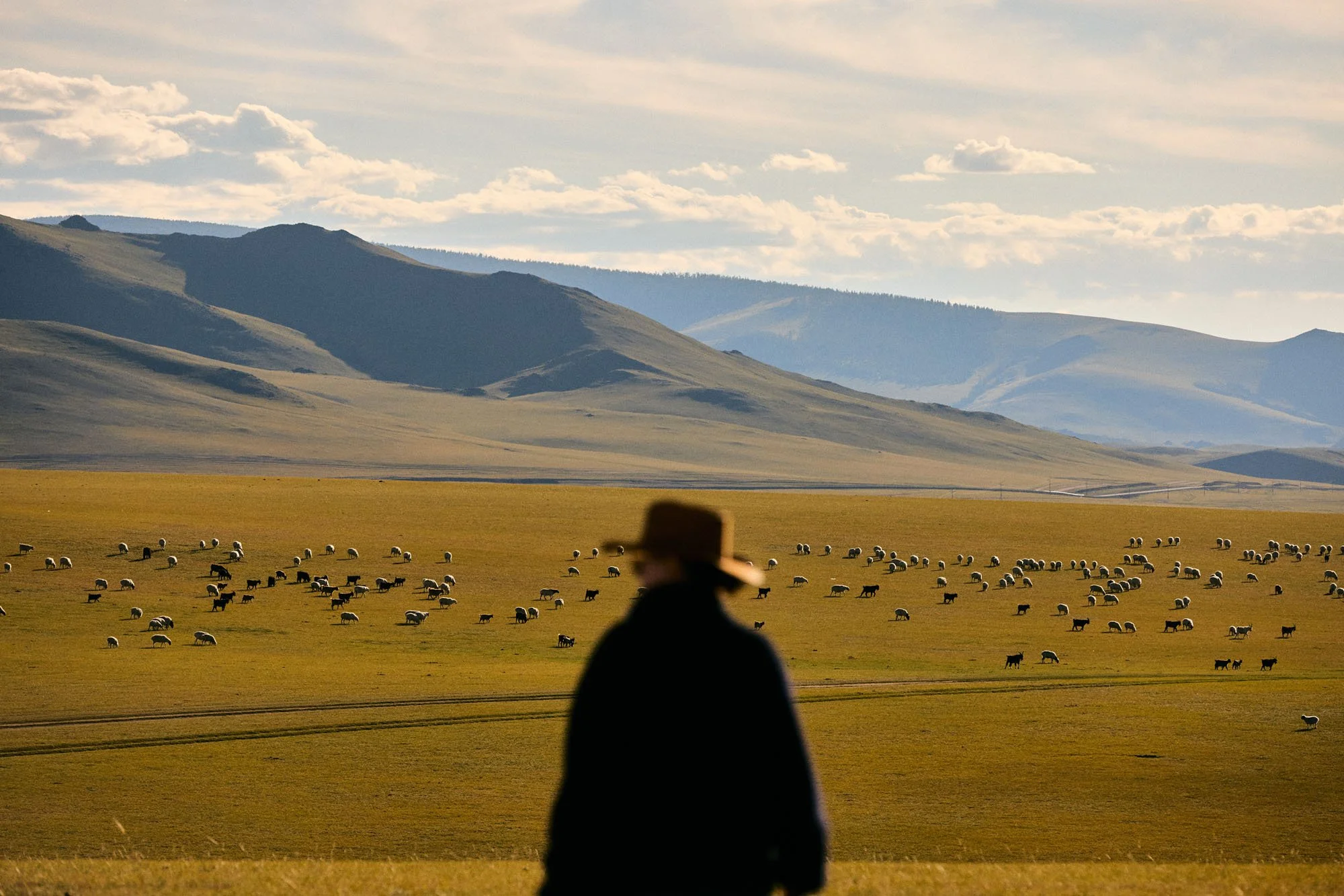 Orkhon_River_Valley_Mongolia_20260910_Alina-Tsvor_0799.jpg