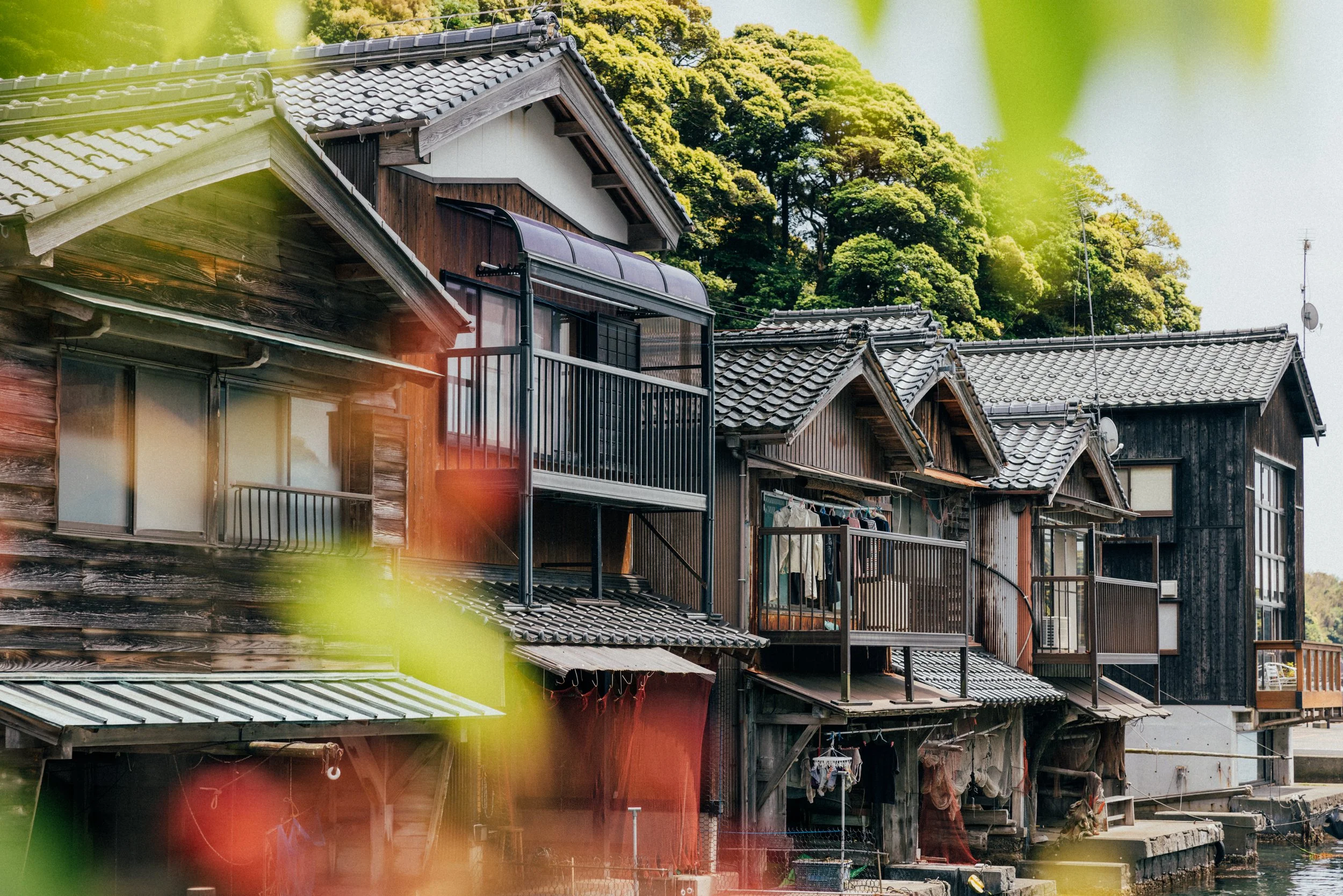 Ine_Kyoto_Japan_20230512_AlinaTsvor-776.jpg