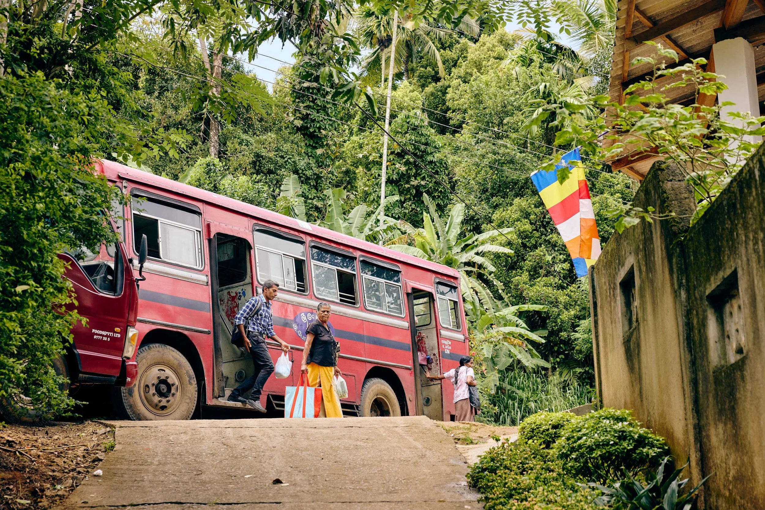 Kandy_Sri_Lanka_20260622_Alina-Tsvor_334.jpg