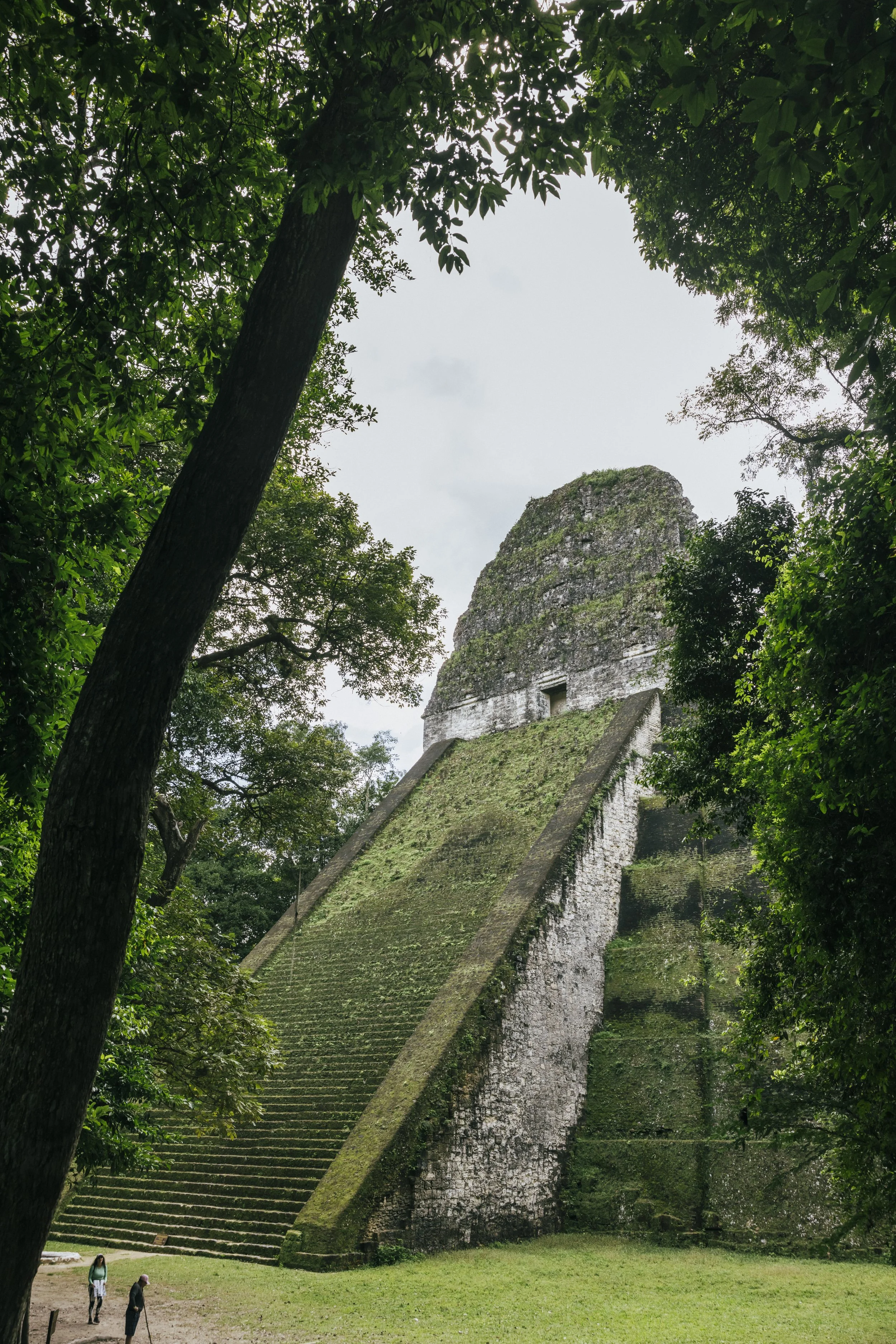 Flashpack_2025_Guatemala_Tikal_Alina_Tsvor8023.jpg
