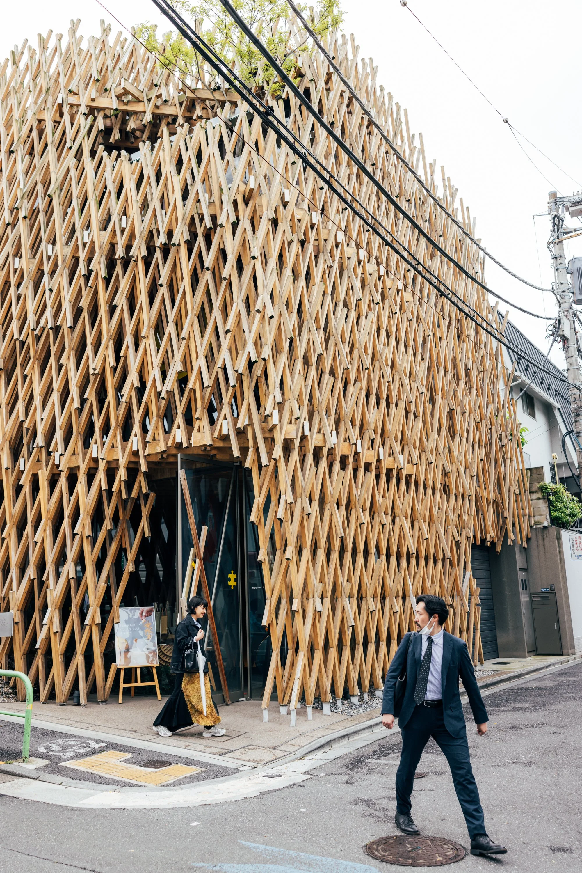 Tokyo_Japan_20230508_AlinaTsvor-178.jpg